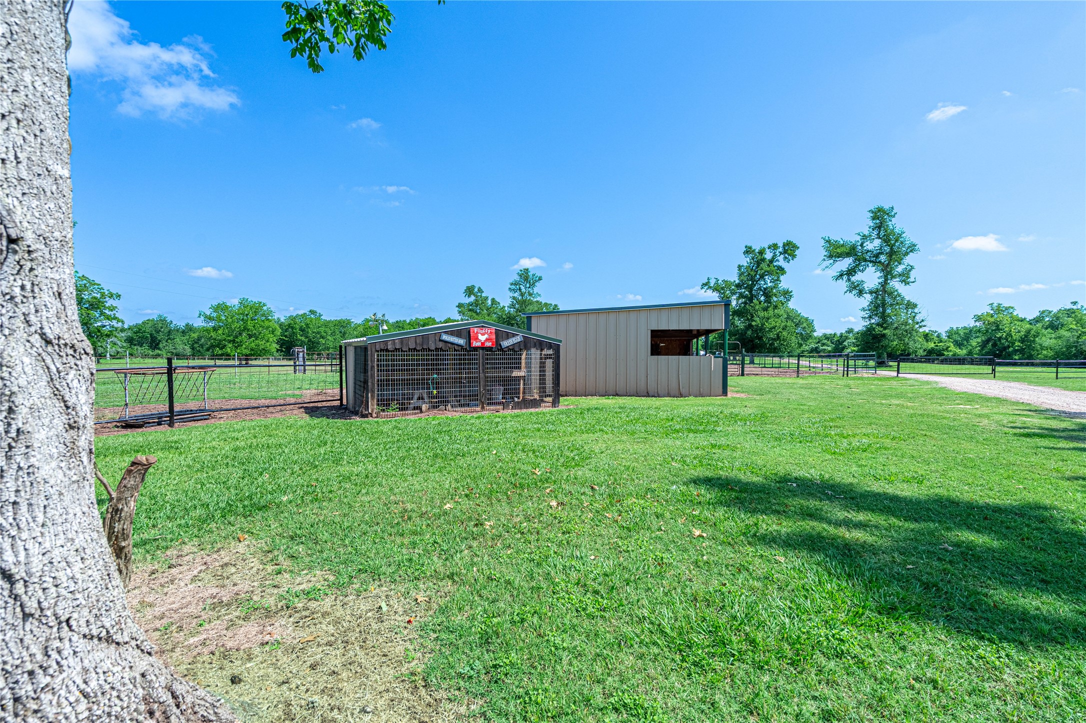 41800 Aggie Gee - Chicken House