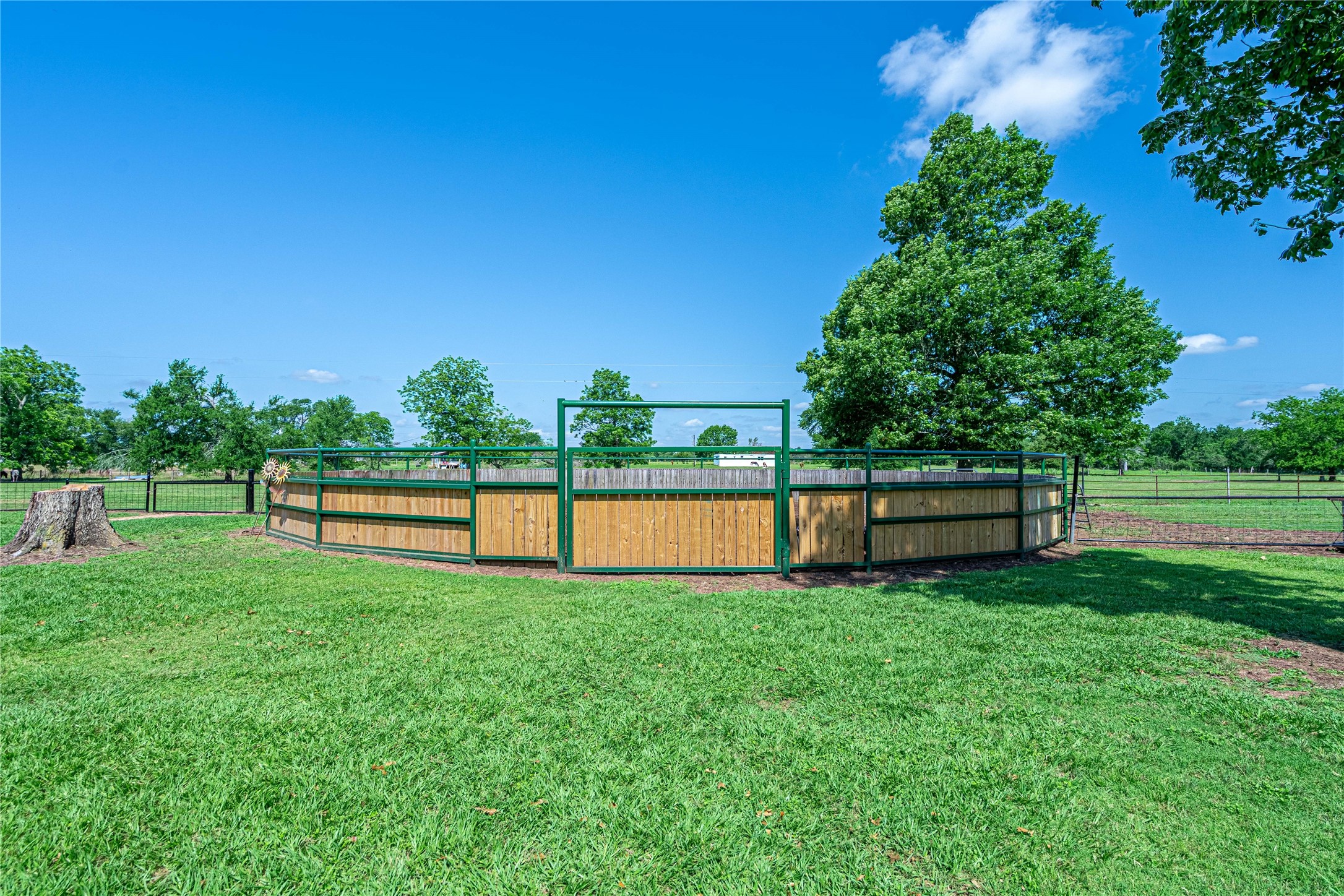 41800 Aggie Gee - 60' Round Pen training horses