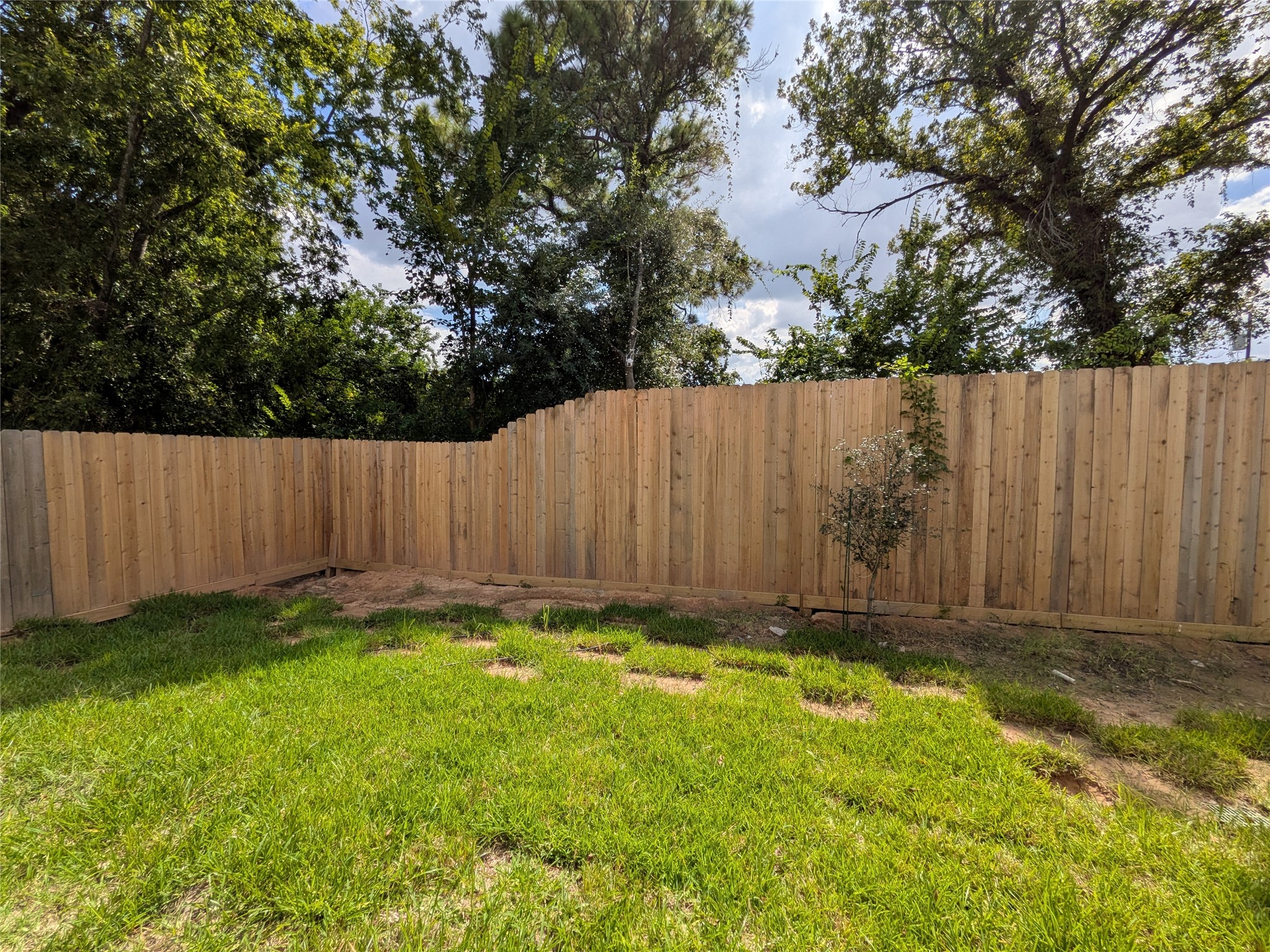 4718 Hare Street, Houston, TX 77020