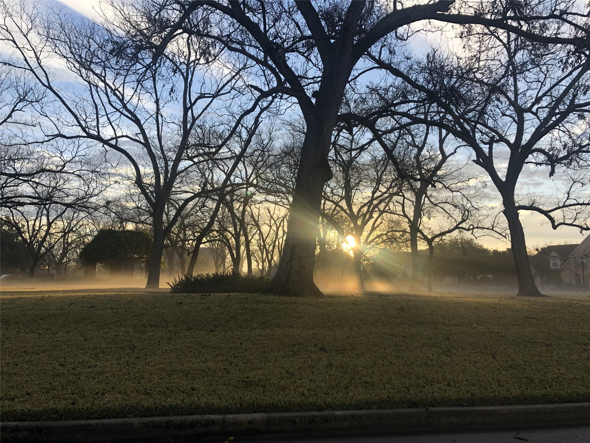 A morning view of the park, nestled in the heart of The Estates community.