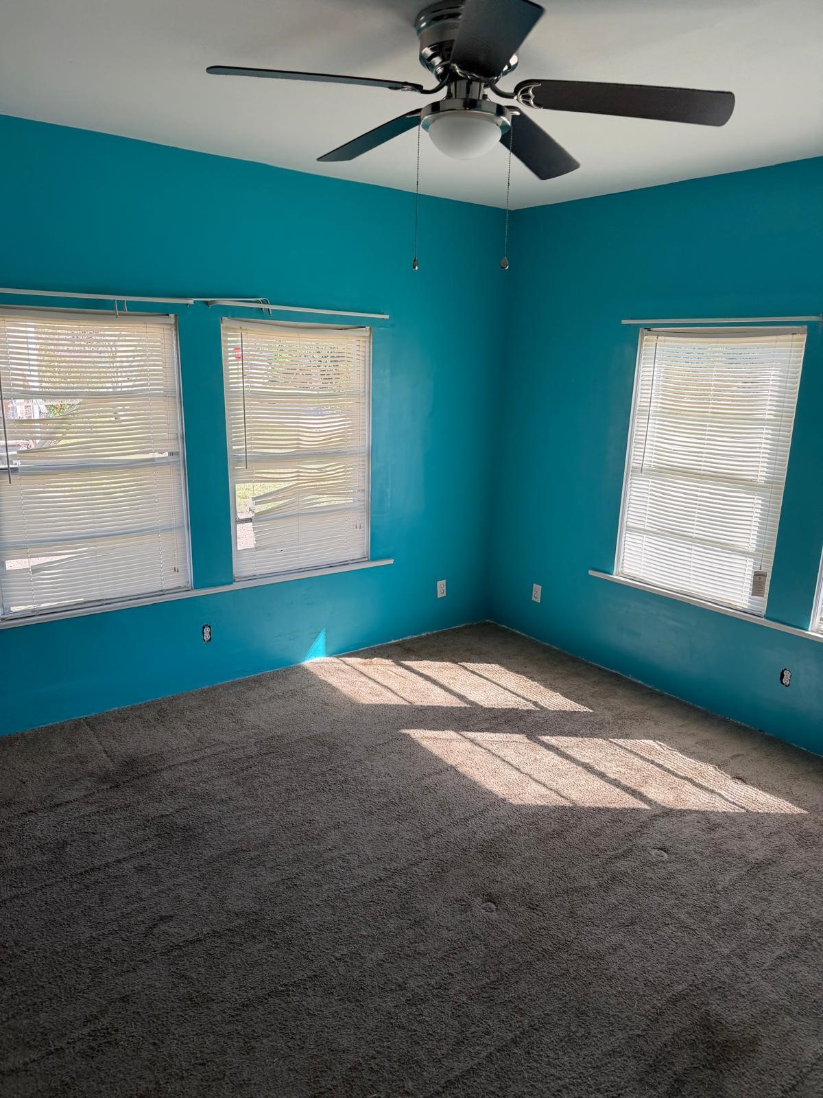 310 Pine Bluff Street, La Porte, TX 77571