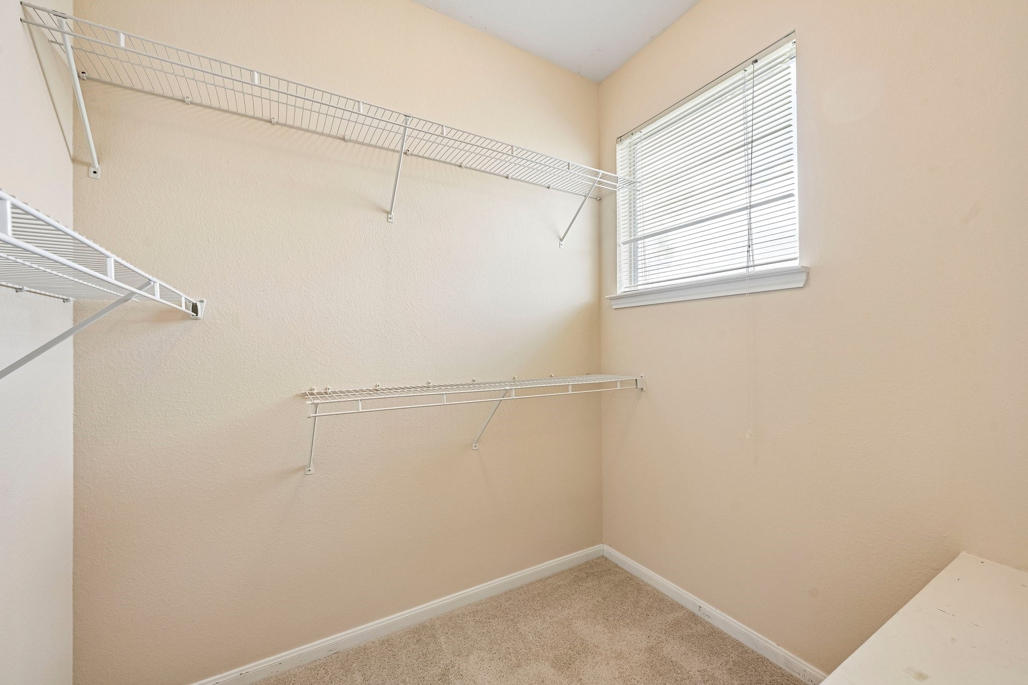 Spacious Primary Closet