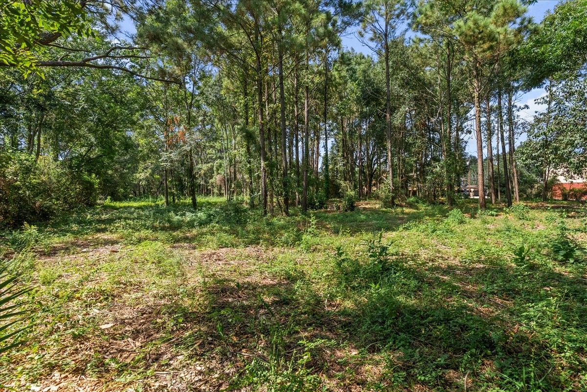 Owner has begun clearing the land