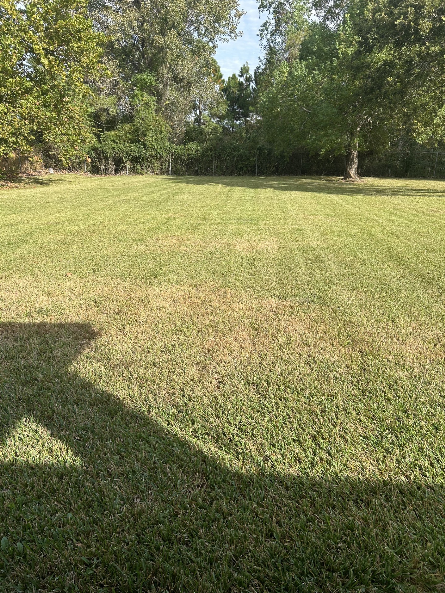 10620 Jay Road, Hitchcock, TX 77563