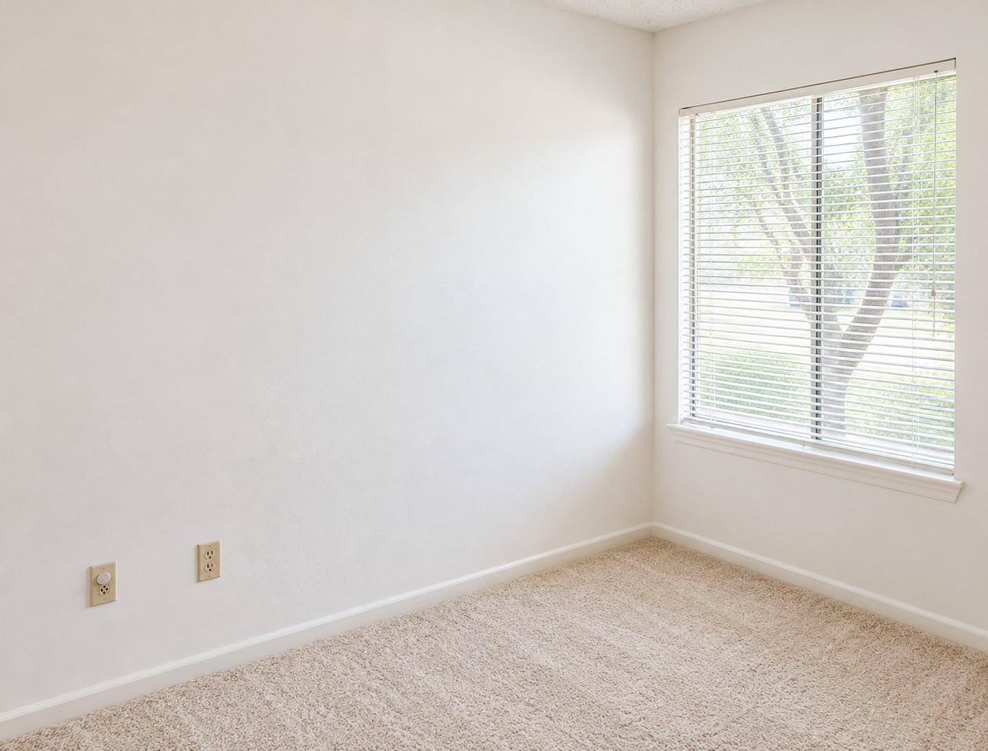 Additional bedroom with natural light and flexible space.
