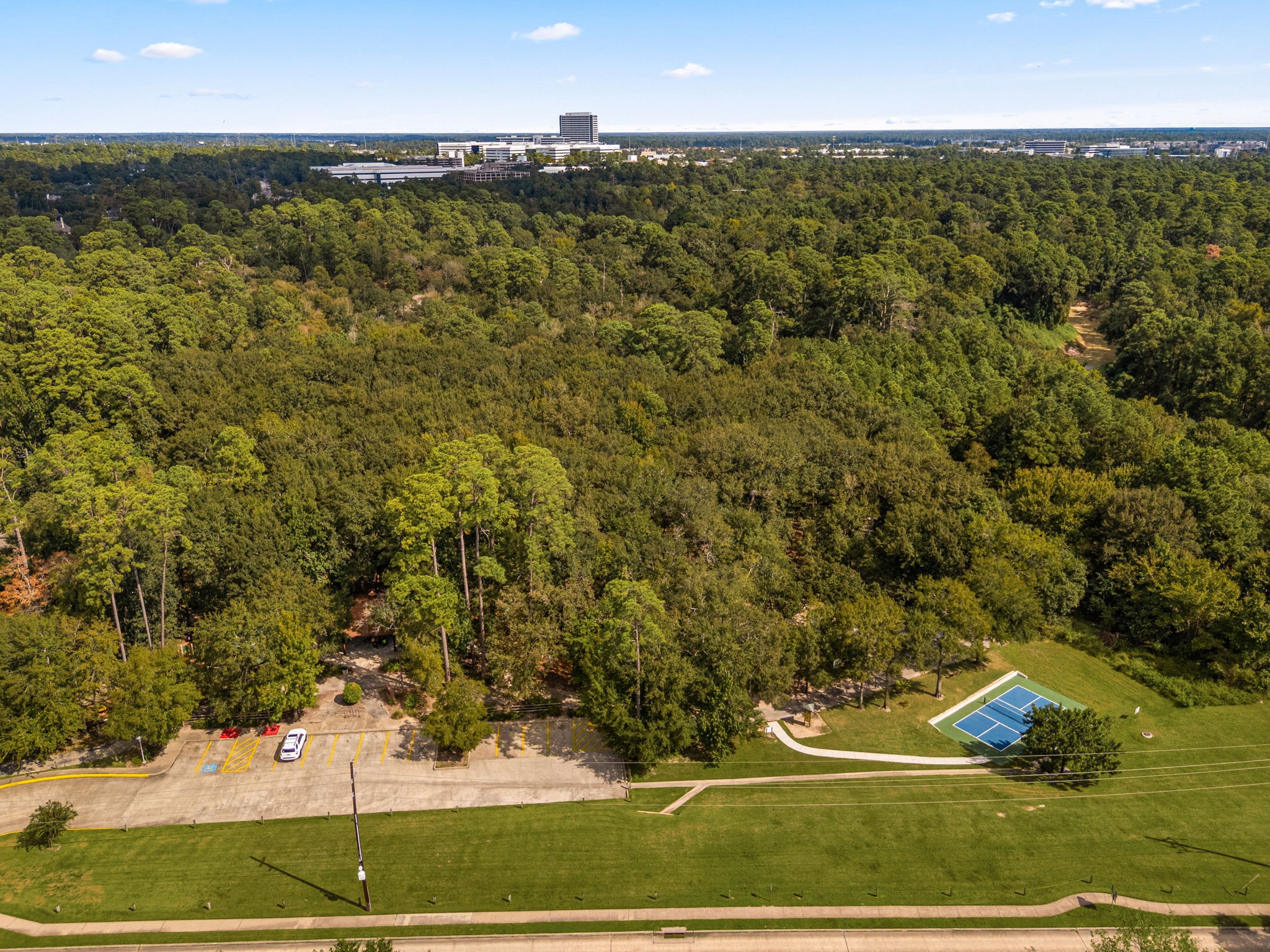 11411 Creekwood Hills Lane, Houston, TX 77070