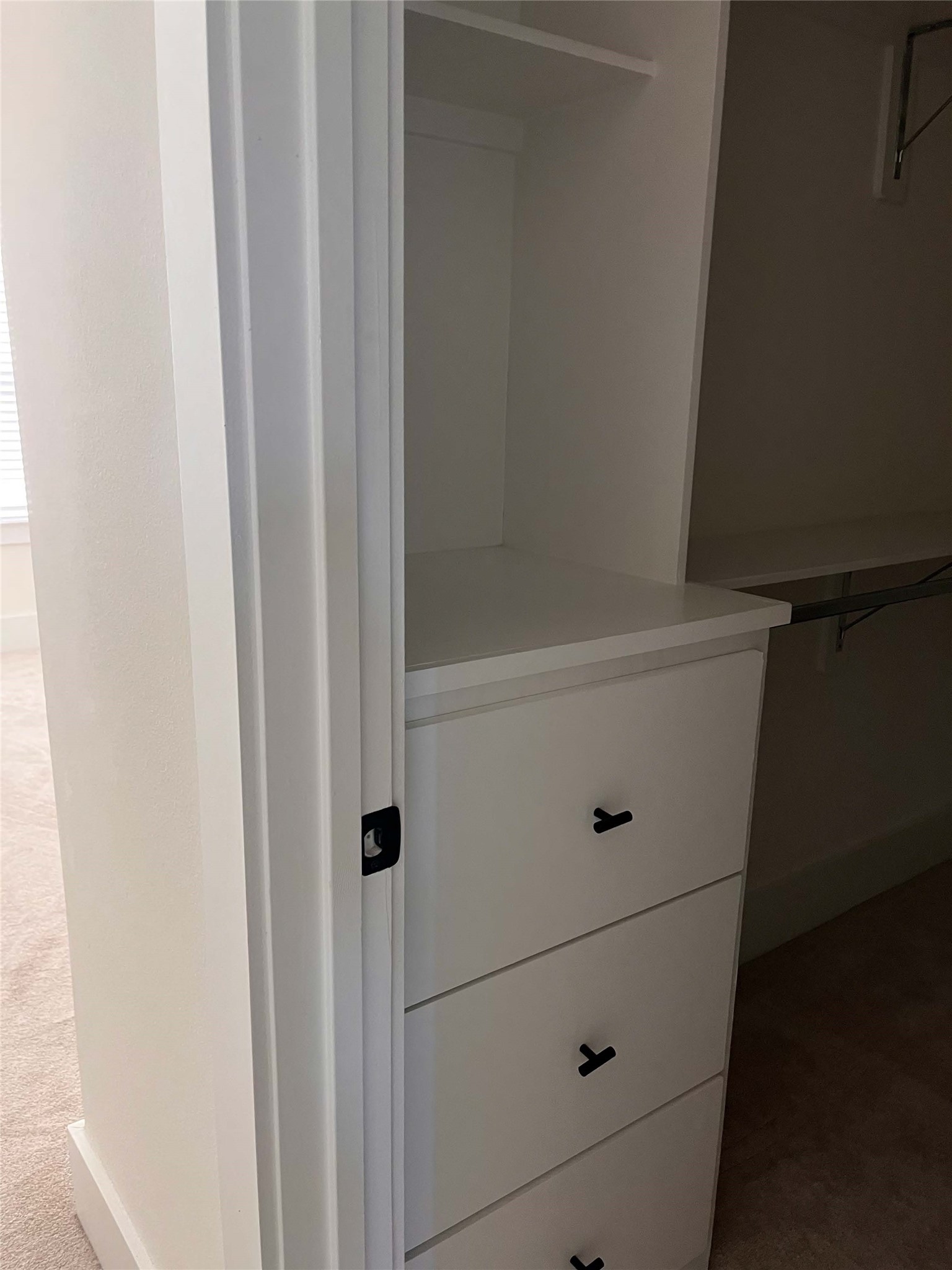 Primary Closet Feature