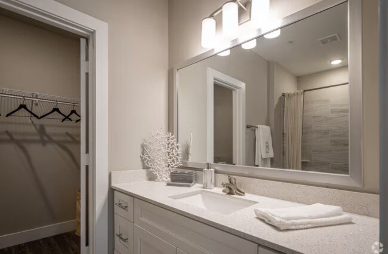 1620 Oak Tree Drive, #3101, Houston, TX 77080