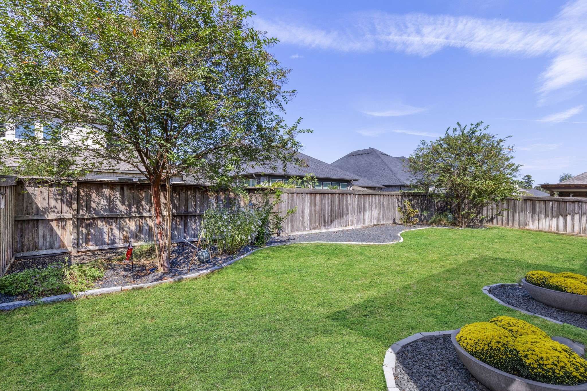 Backyard with landscaping