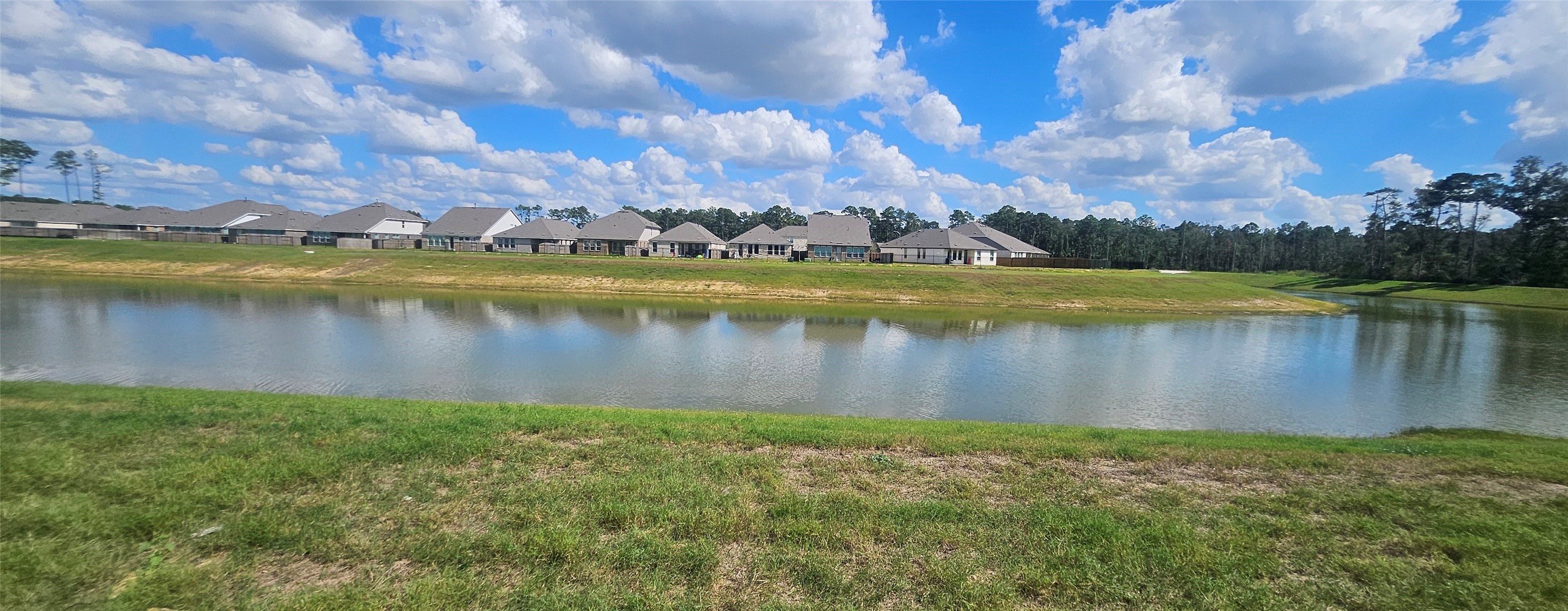 Back yard View