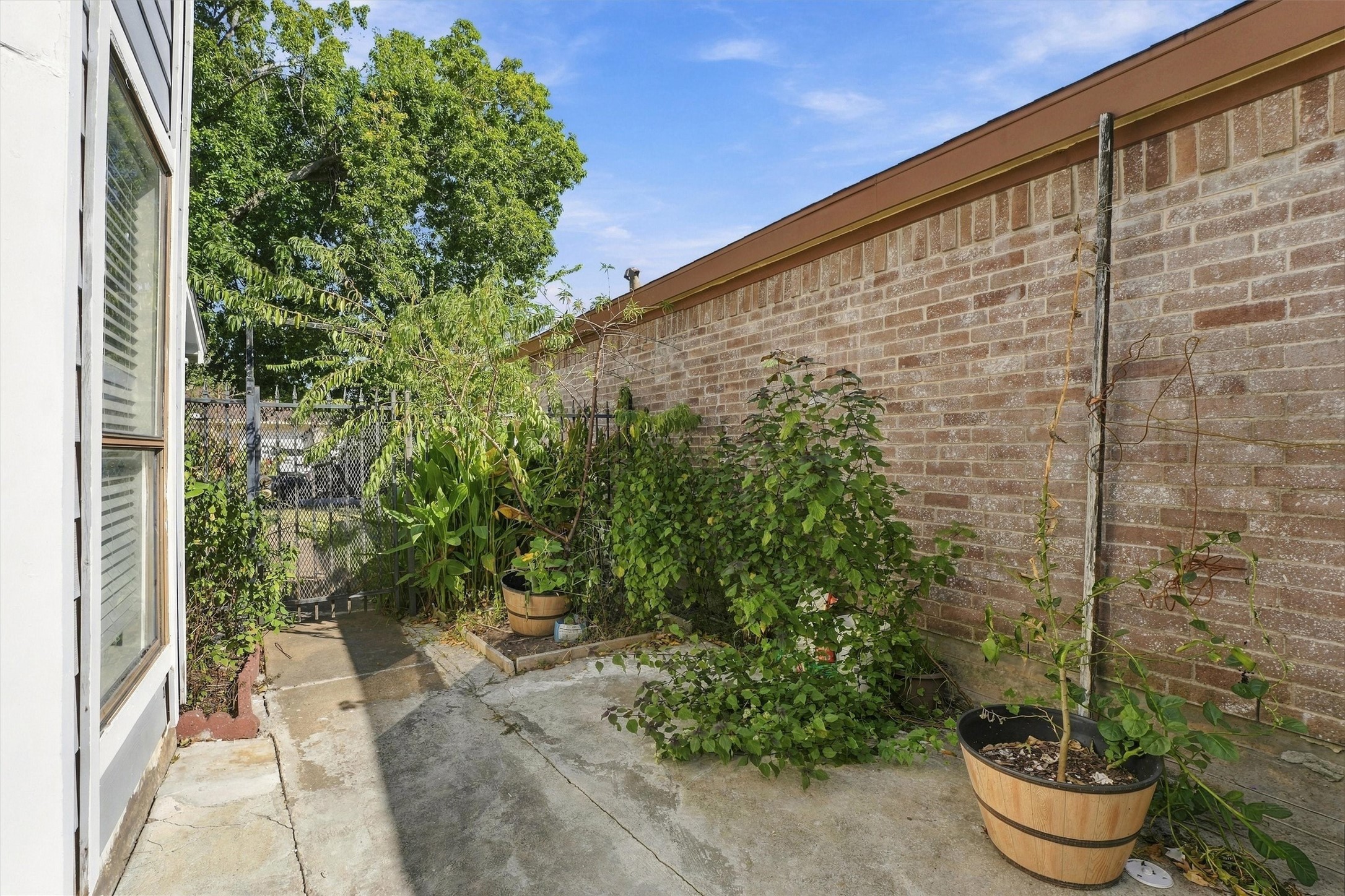 Side yard includes a paved walkway bordered by brick walls, established shrubs, and greenery along the home's exterior.