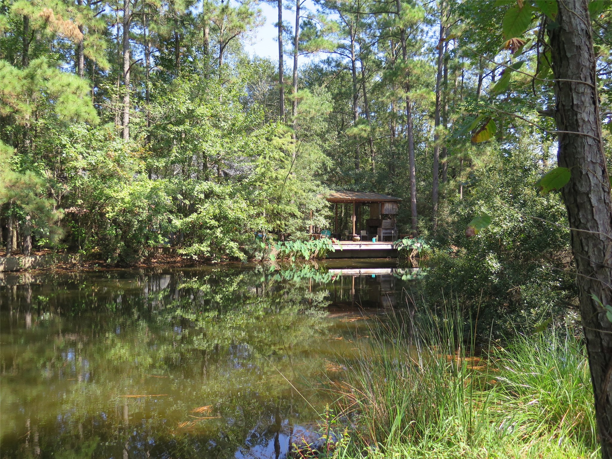 118 Artesian Way, New Caney, TX 77357