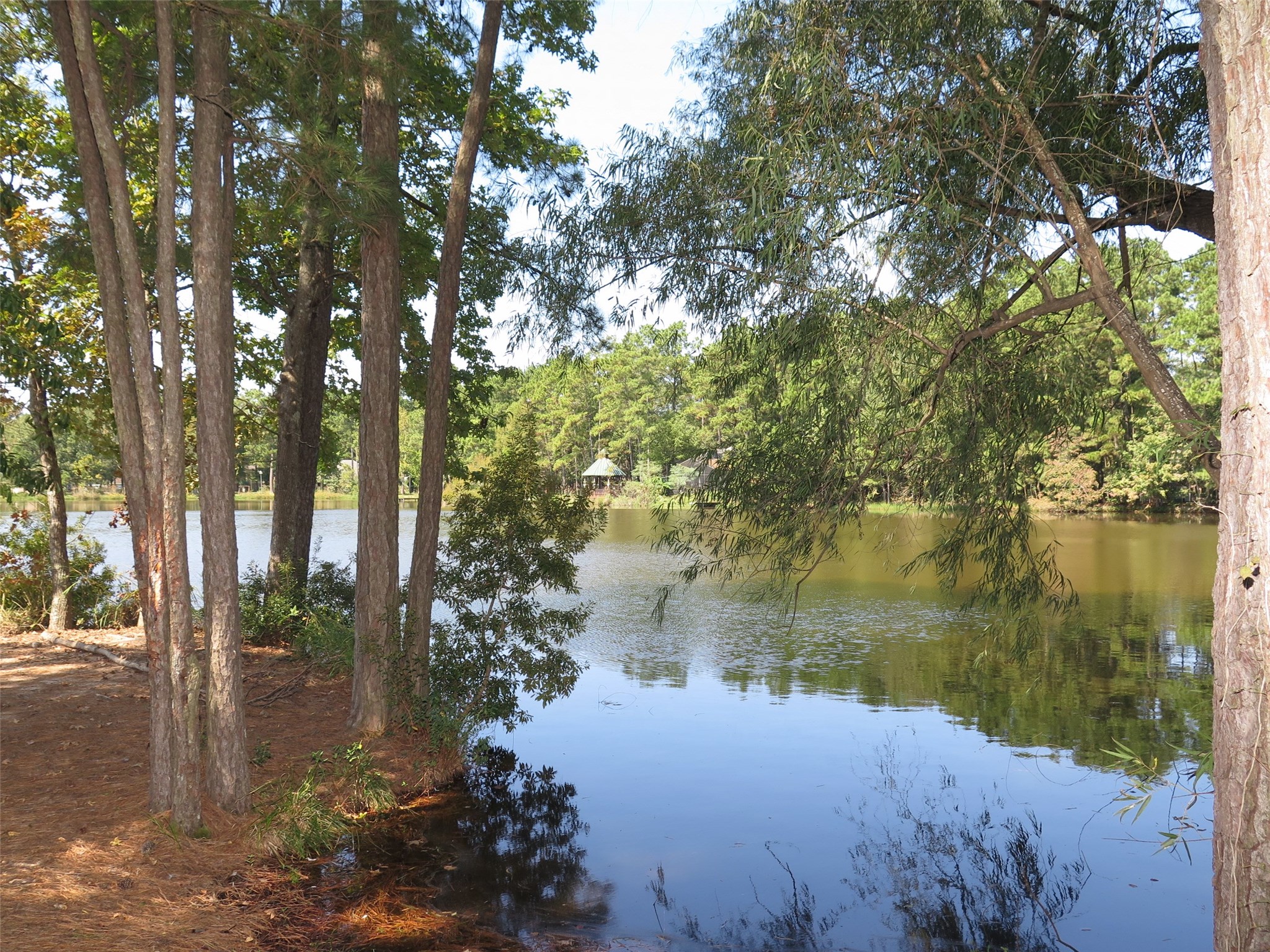 118 Artesian Way, New Caney, TX 77357