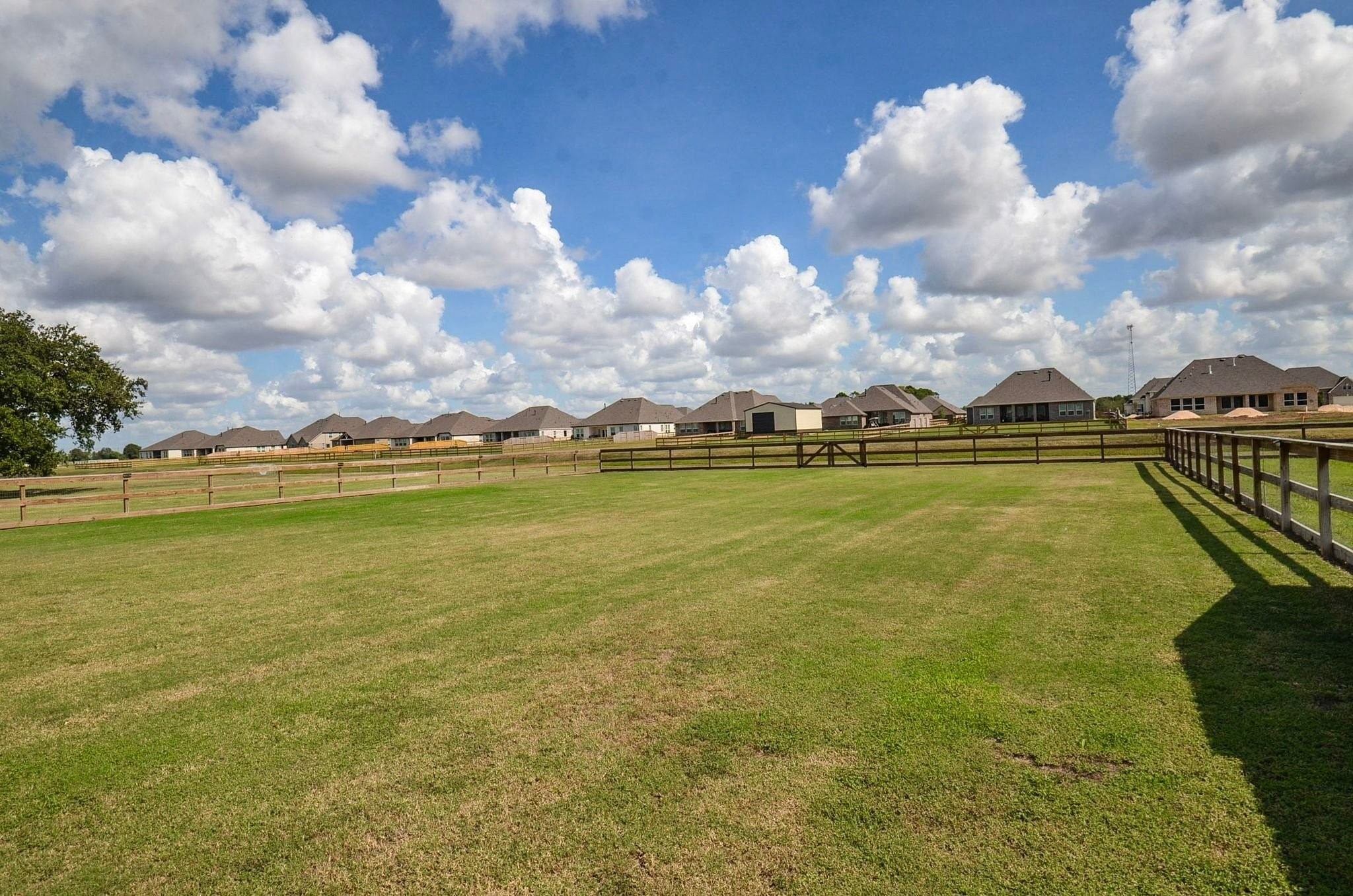 What is YOUR plan for the AMAZING backyard!