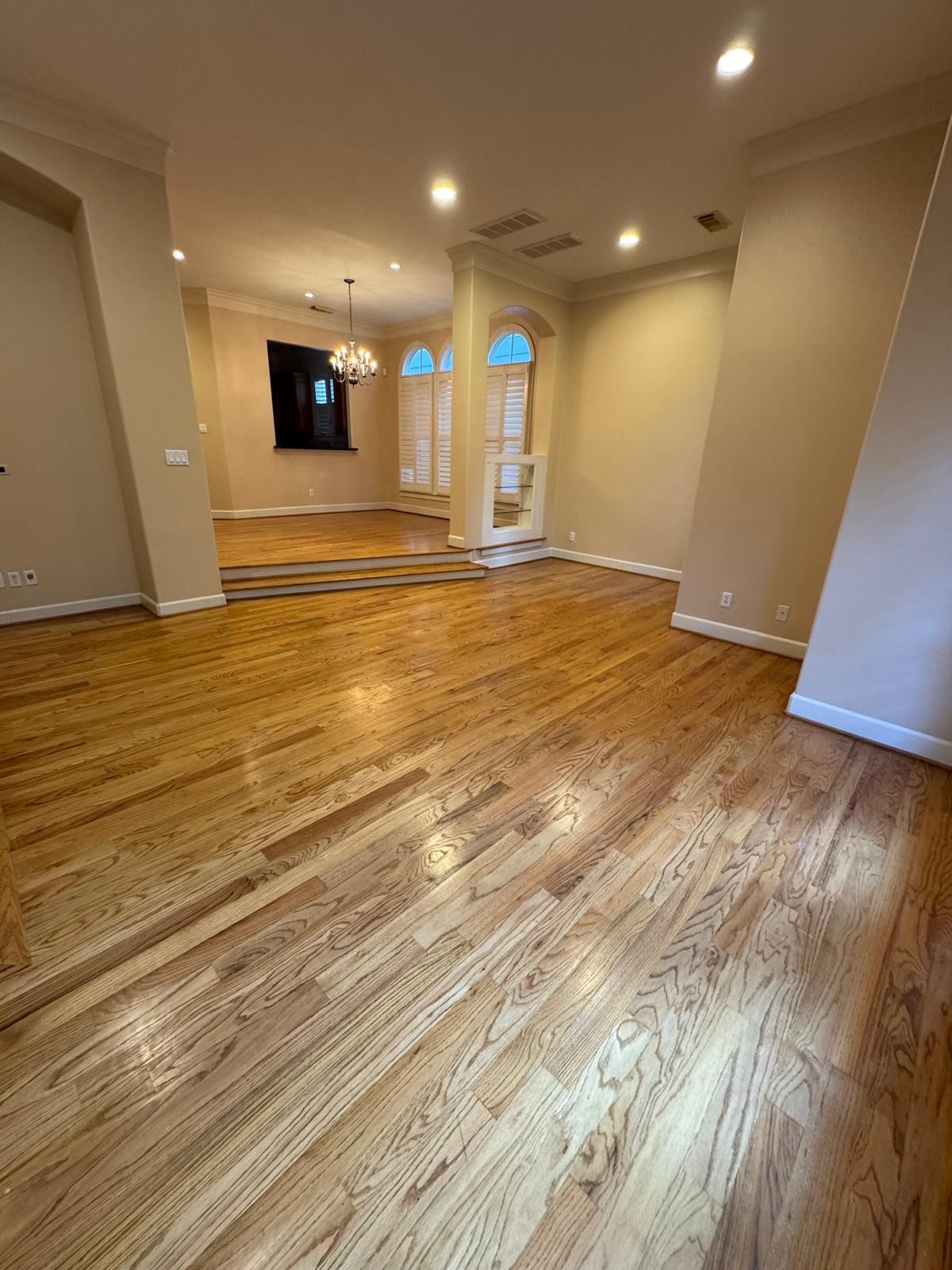 1523 Haddon Street, #B, Houston, TX 77006