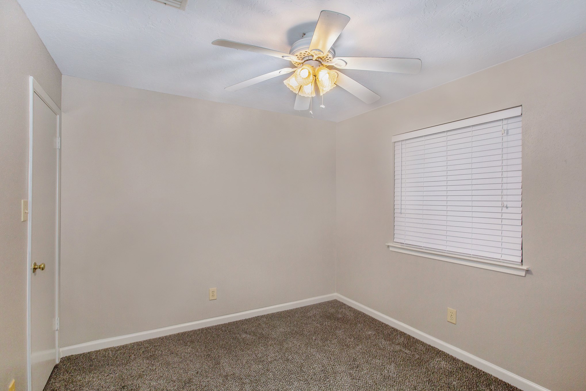 Secondary bedroom with plush carpet and ceiling fan.