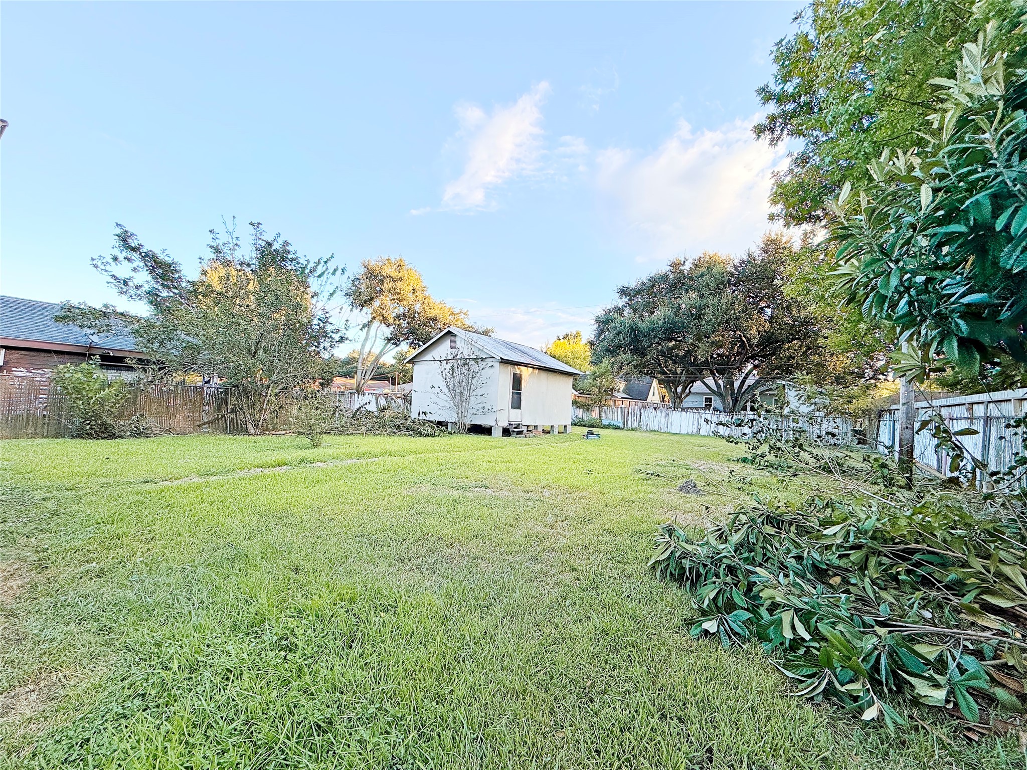 Spacious backyard with lush grass, mature trees, and a practical storage shed, perfect for outdoor activities and gardening.