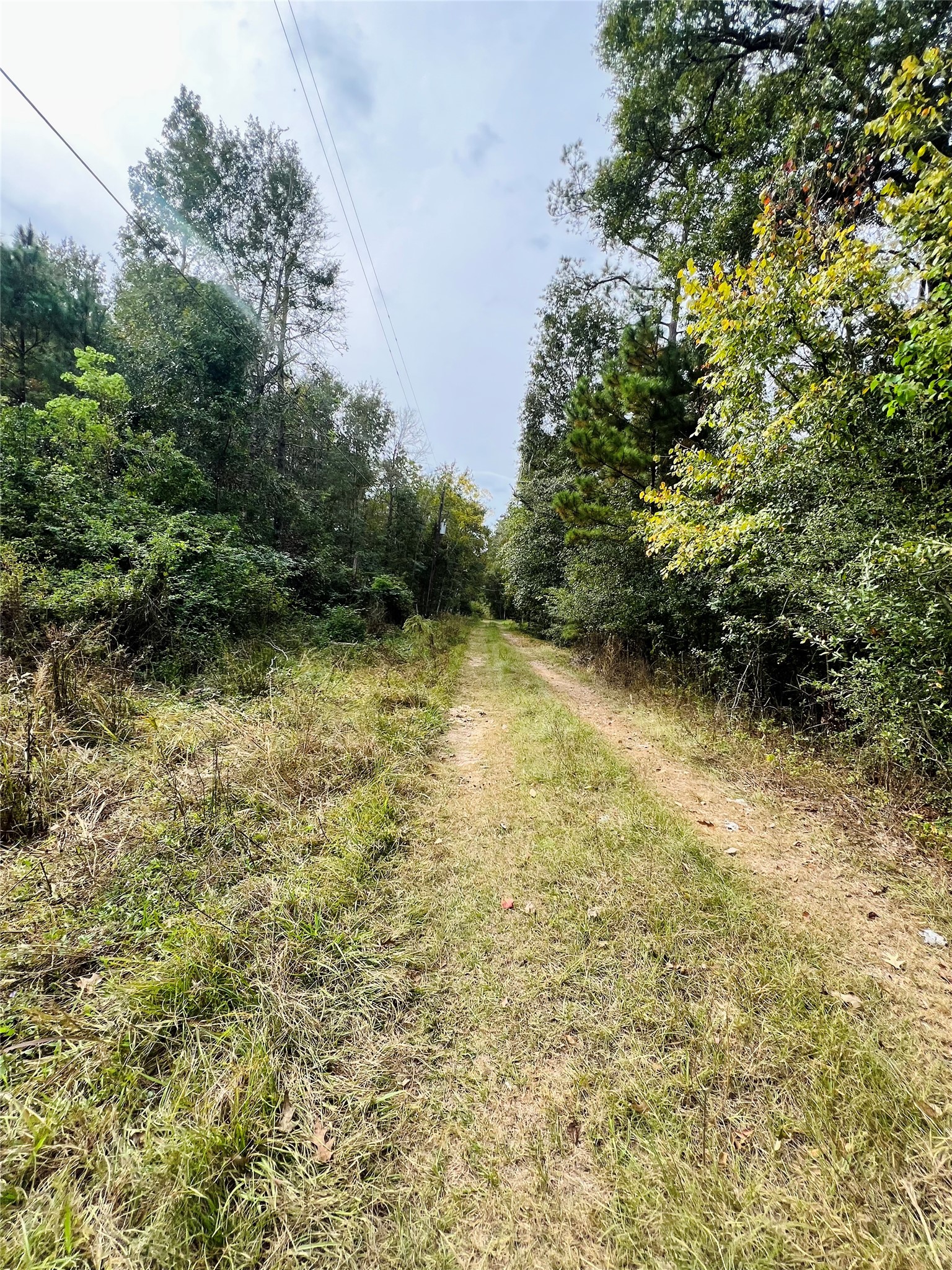 27067 Rocking R, Splendora, TX 77372