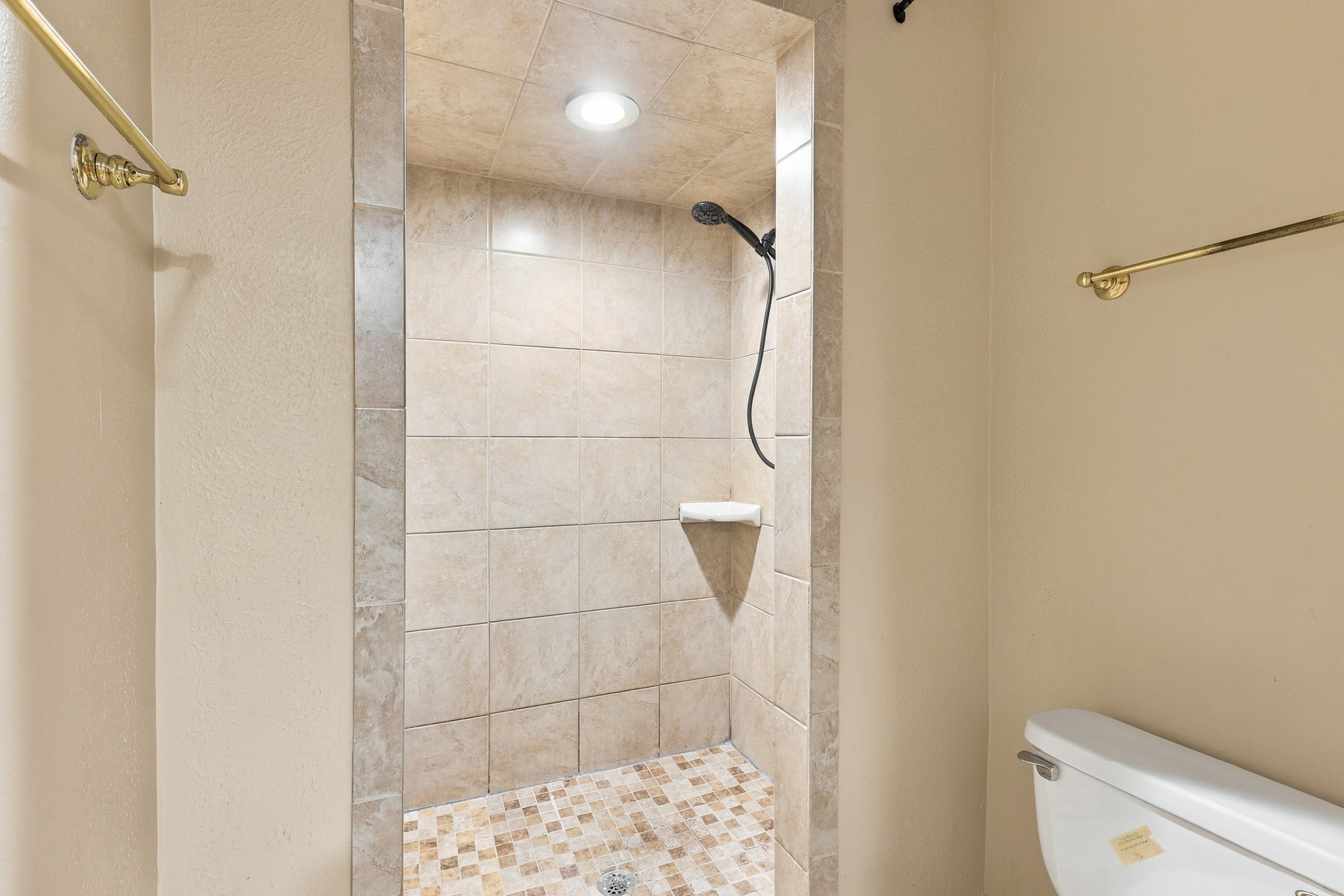 Primary Shower