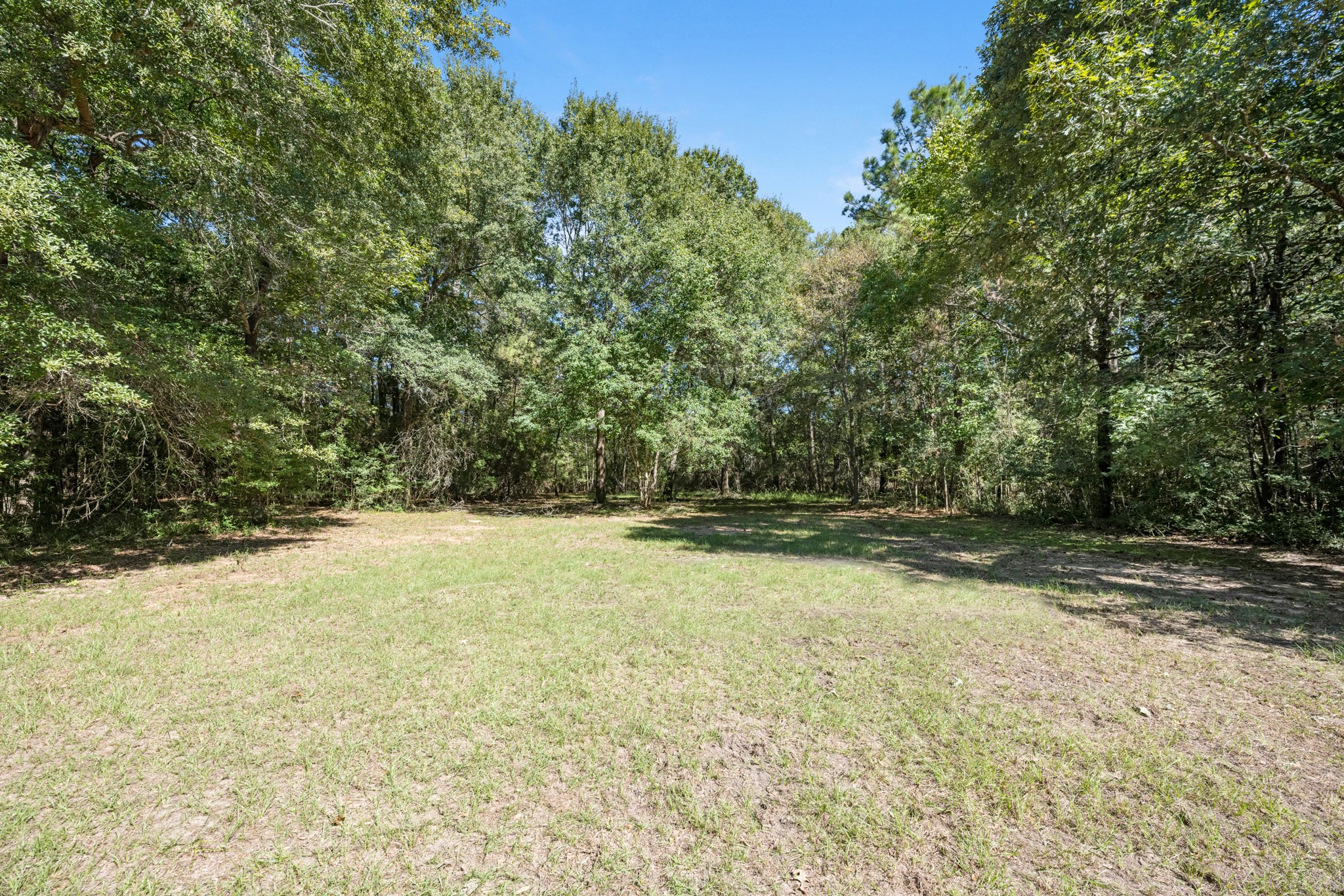 104 Apache Bend, Conroe, TX 77316