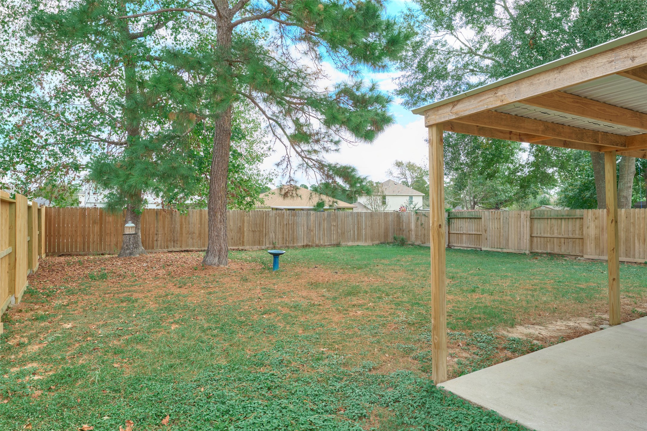 View of backyard.