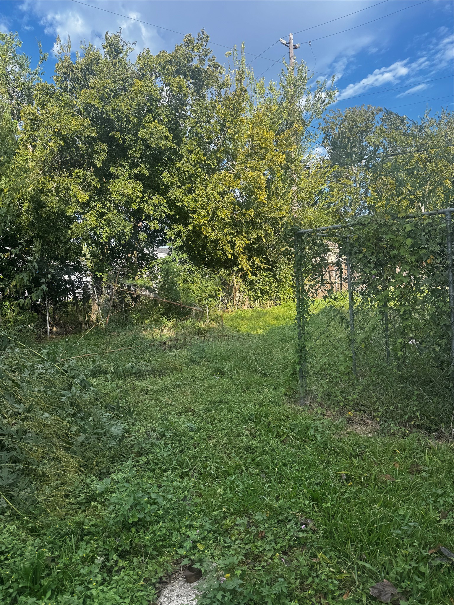 1502 Pleasantville Drive, Houston, TX 77029