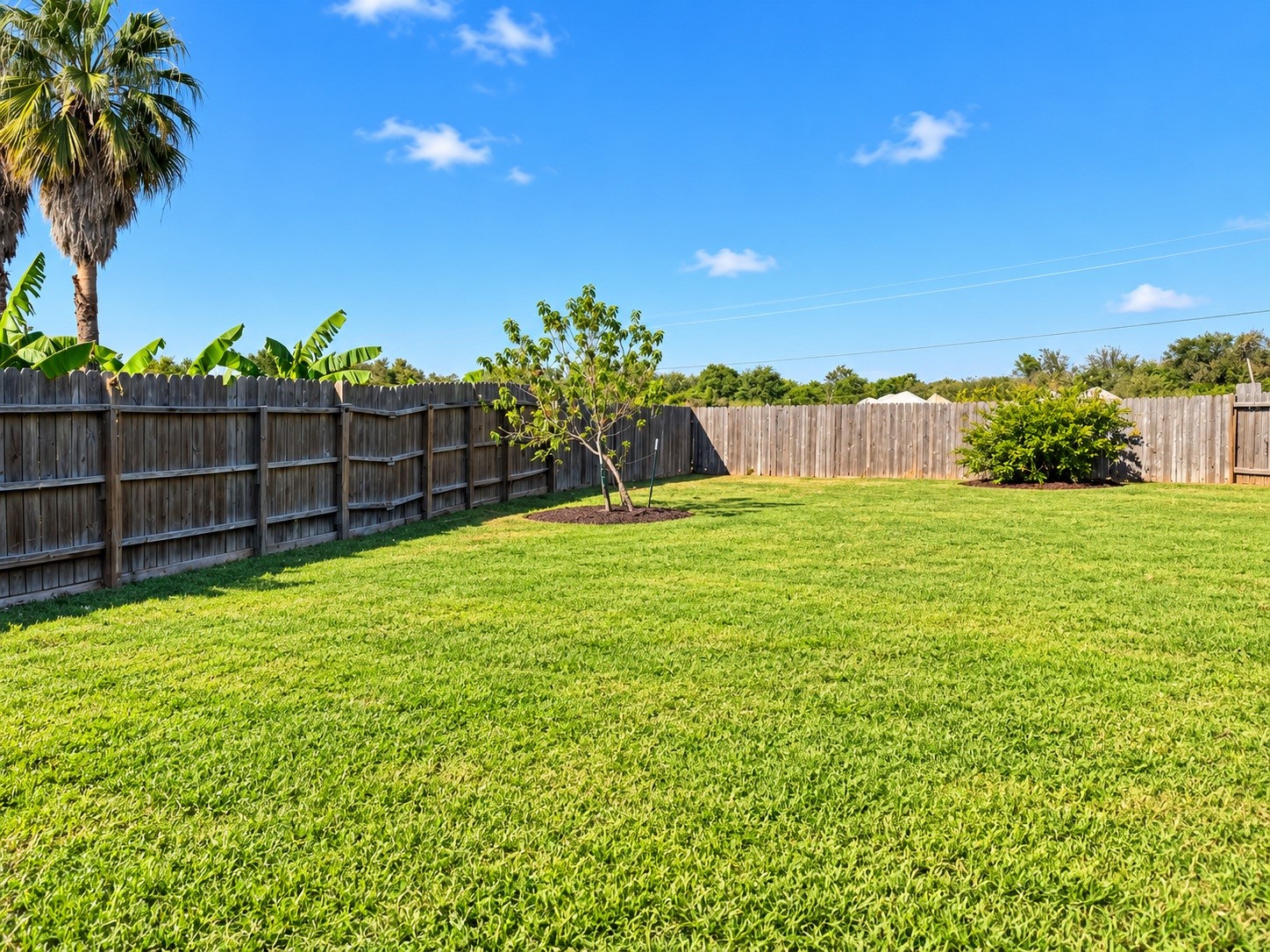 One of the largest backyards in the subdivision. One of the largest backyards in the subdivision.