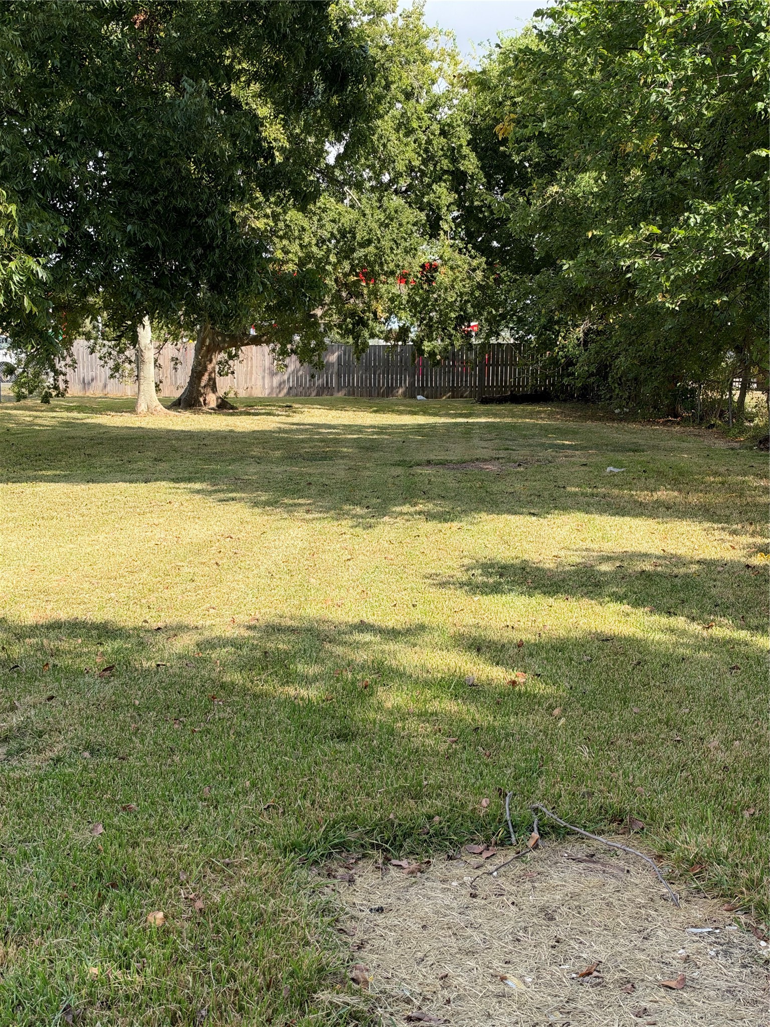 Massive back yard