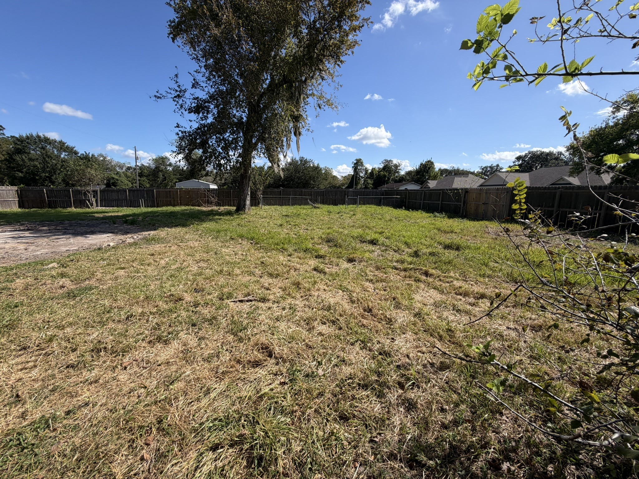 606 Tall Timber Drive, West Columbia, TX 77486