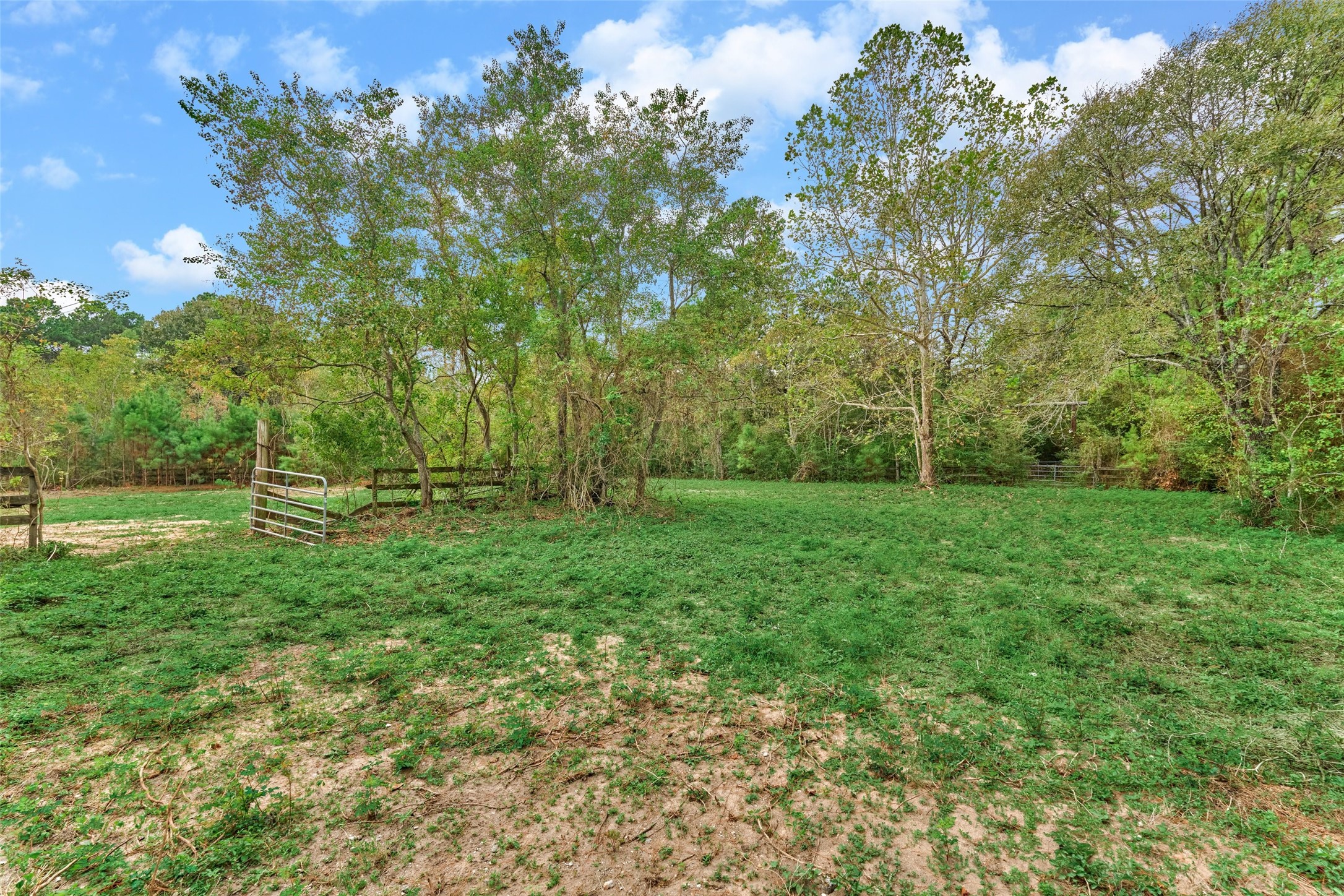 plenty of pastures for horses or livestock. Some cross fencing. Direct access to the neighborhood 7-mile nature equestrian trails!