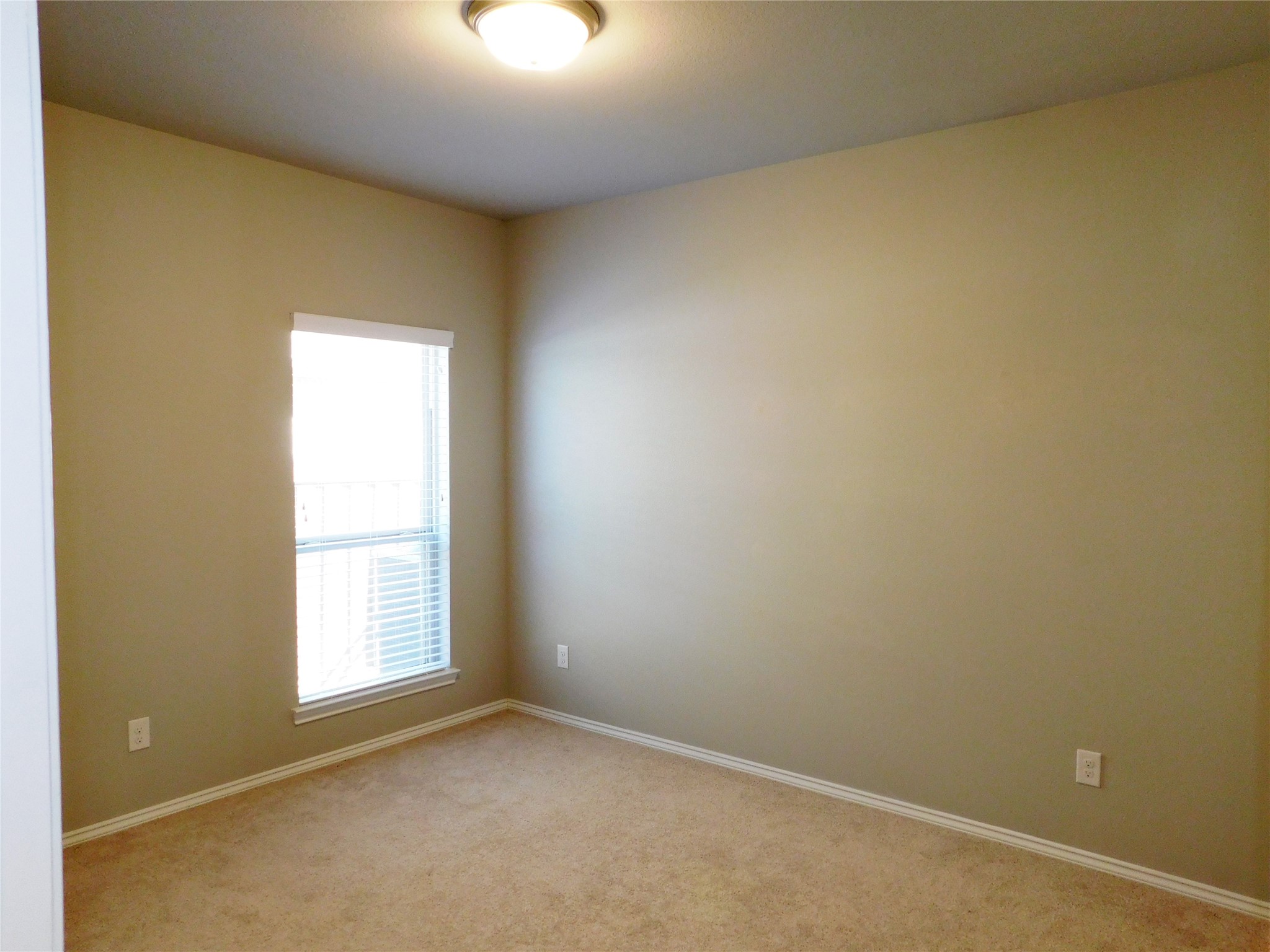 8152 Rosemary Sage Drive, Magnolia, TX 77354