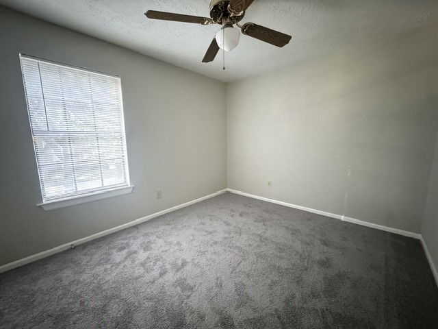 311 Birch Hill Drive, Sugar Land, TX 77479