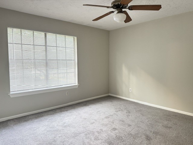 311 Birch Hill Drive, Sugar Land, TX 77479