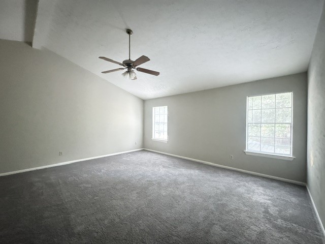 311 Birch Hill Drive, Sugar Land, TX 77479