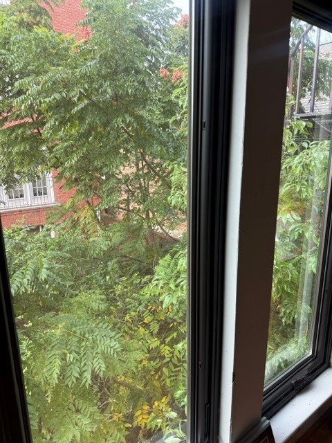 804 Marshall Street, Houston, TX 77006
