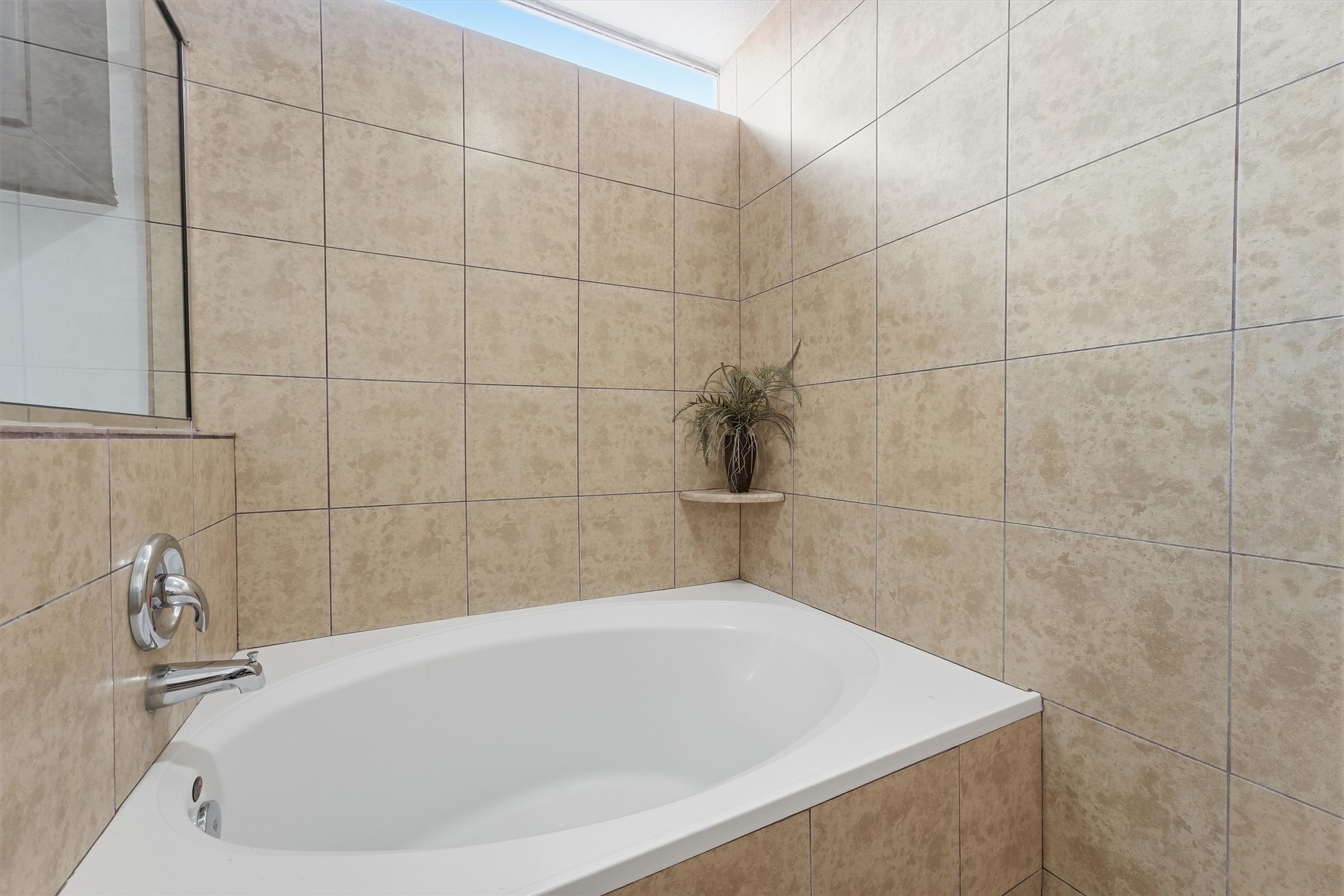 Soaker tub and shower with natural light.