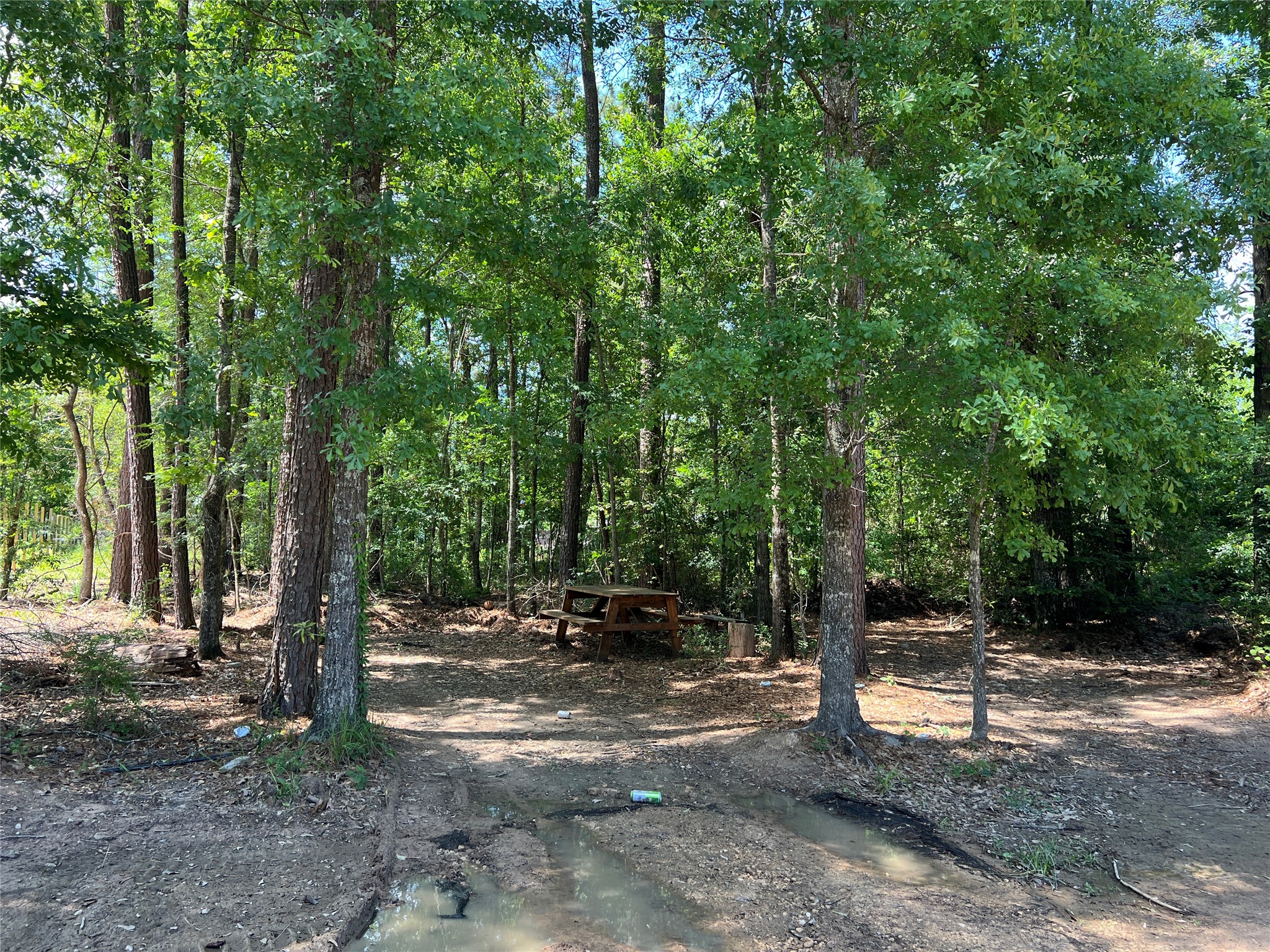 000 Three South, Splendora, TX 77372 000 Three South, Splendora, TX 77372