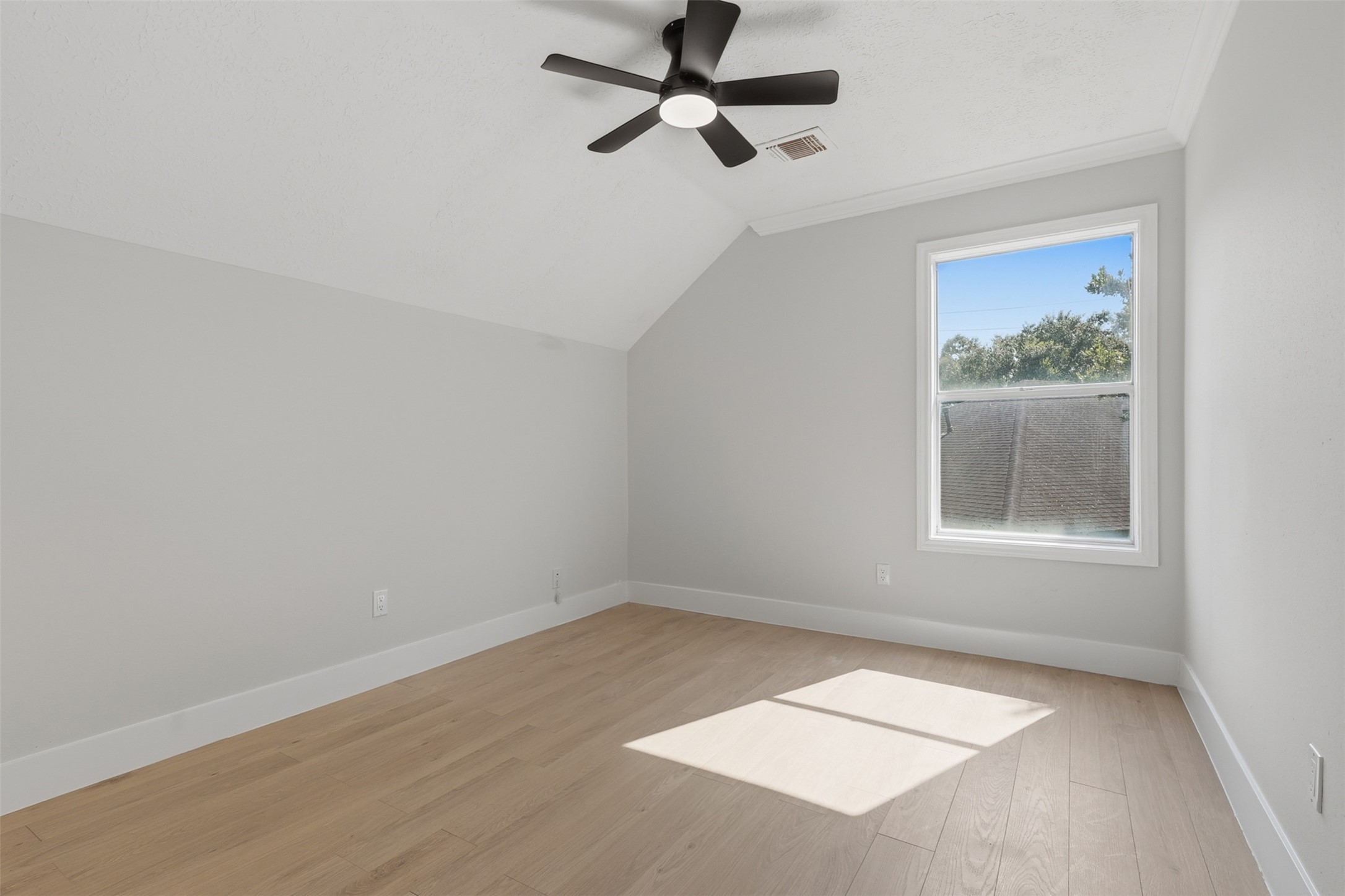 3019 Lotus Lane, Pearland, TX 77584