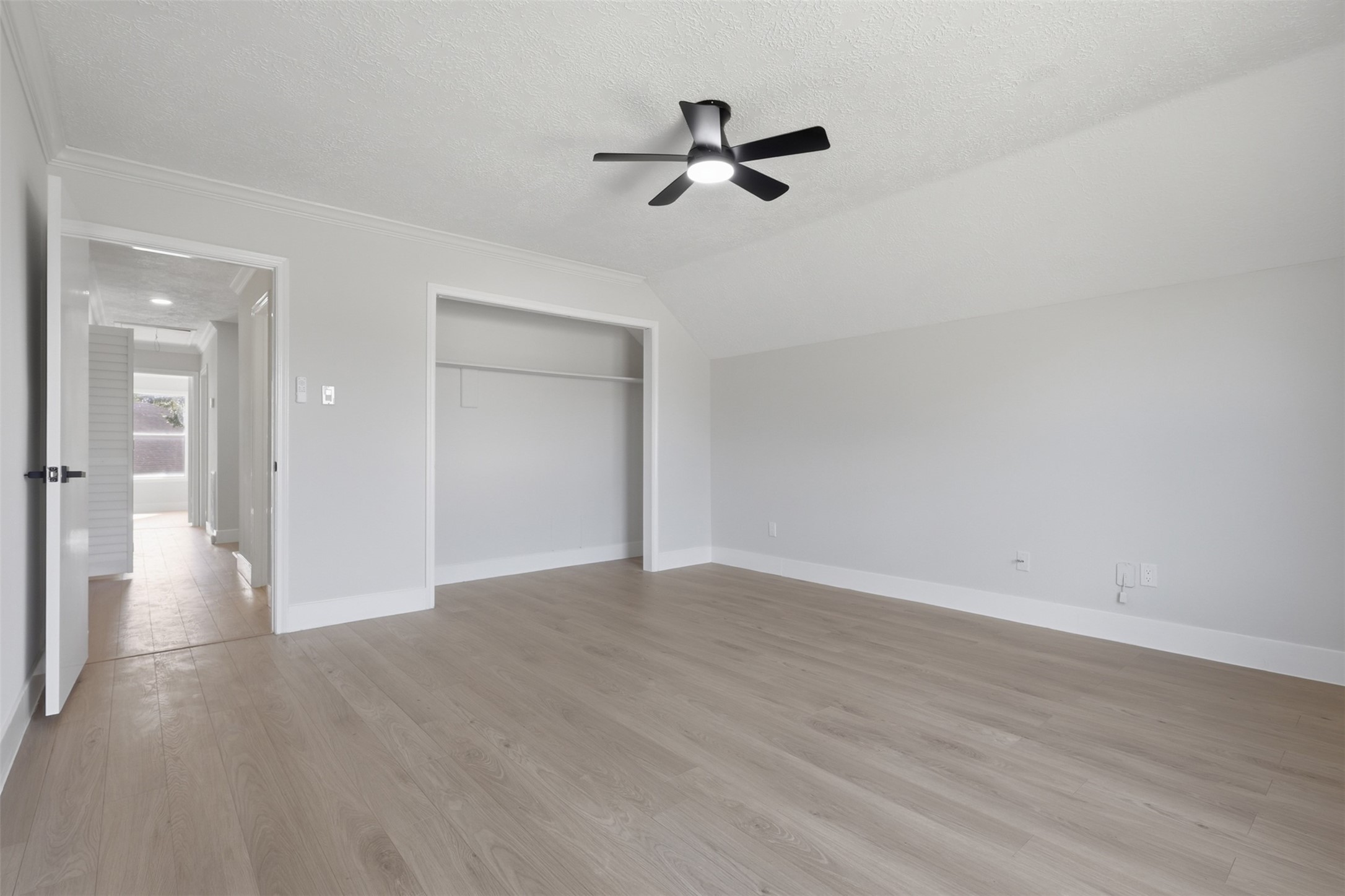 3019 Lotus Lane, Pearland, TX 77584