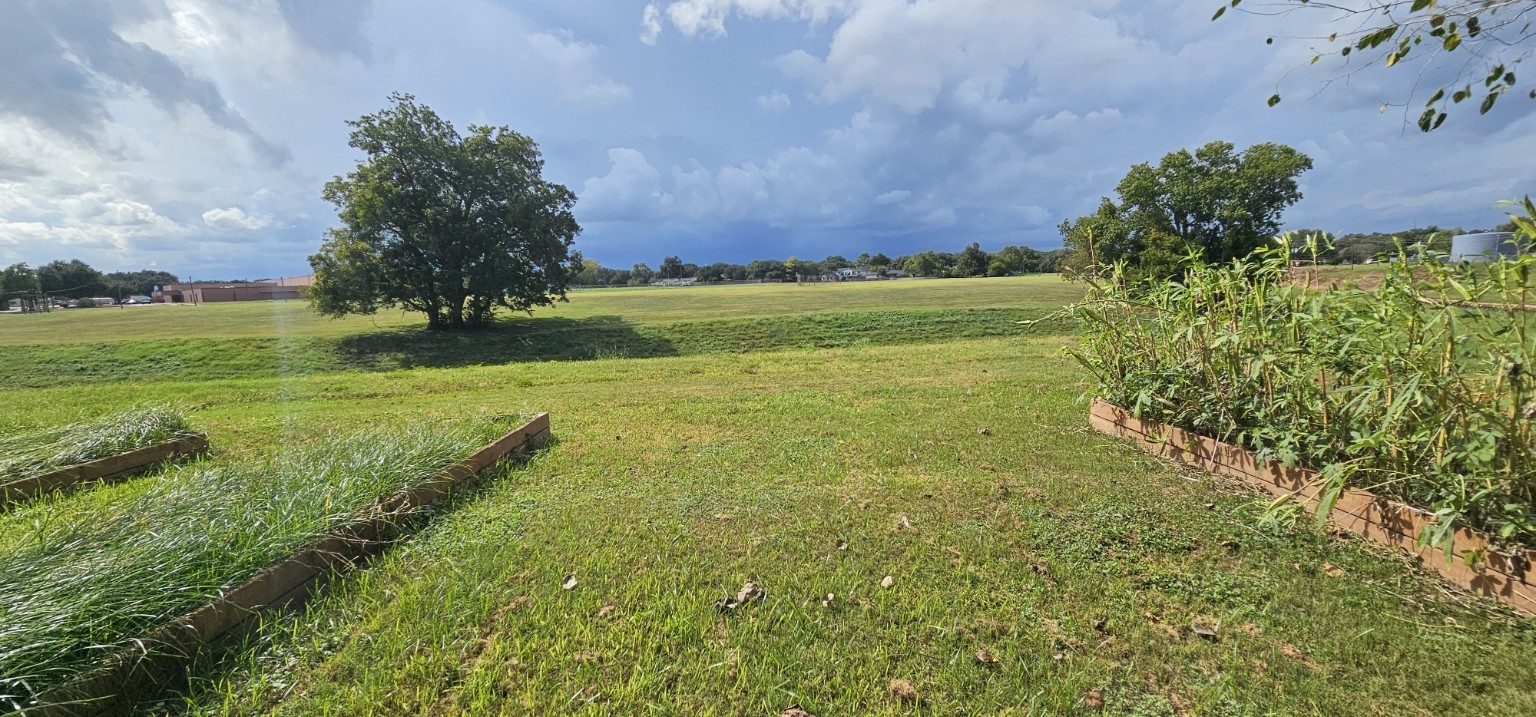 4206 Palmer Plantation Drive, Missouri City, TX 77459