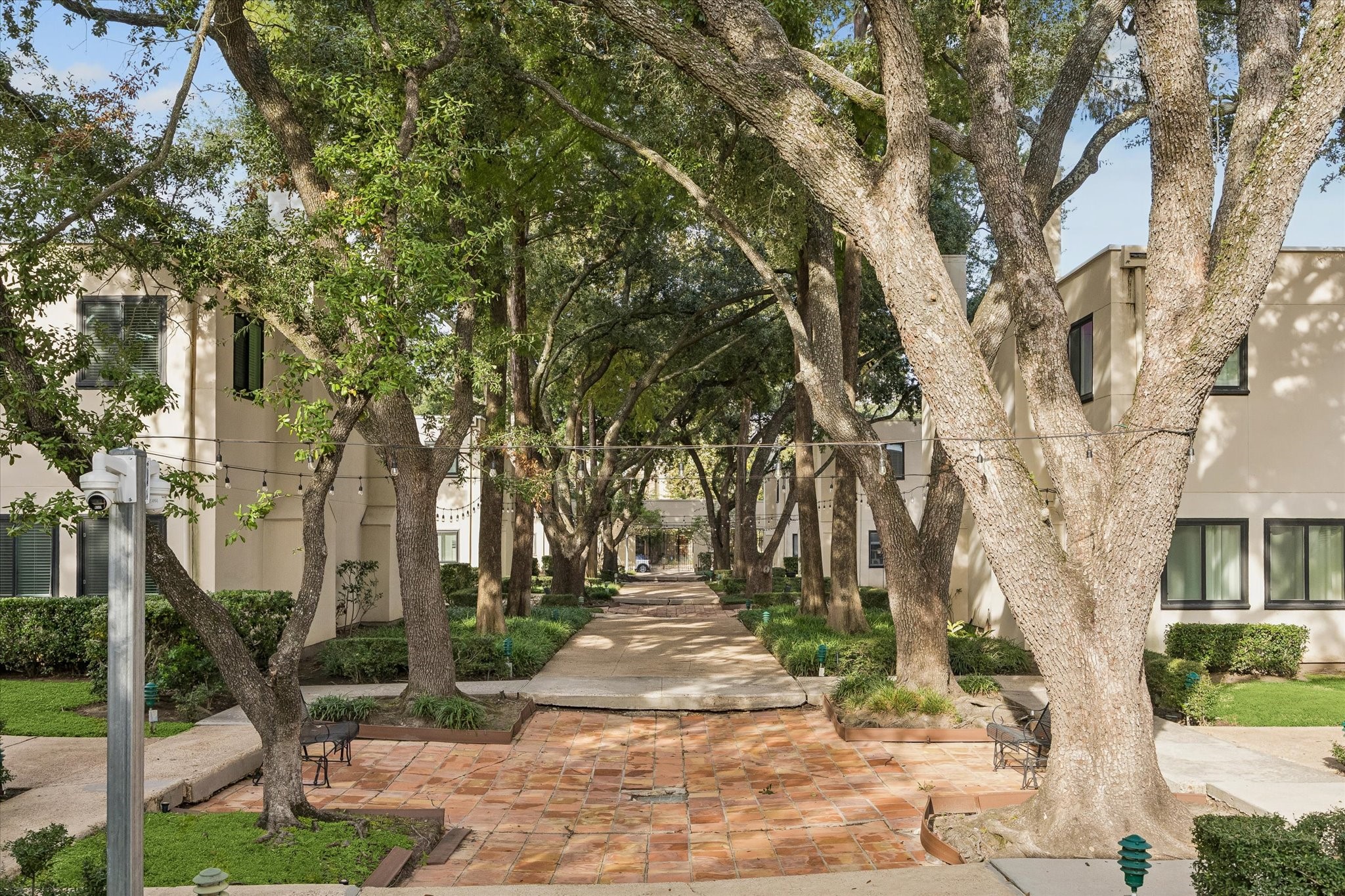 403 Anita Street, #11, Houston, TX 77006