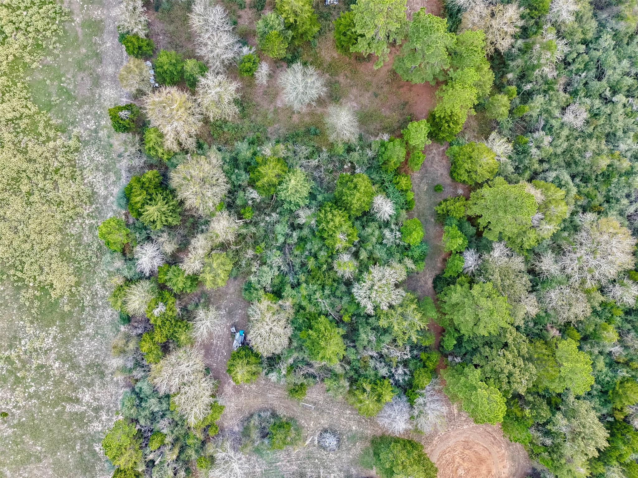 0 Redwood Drive, Hempstead, TX 77445