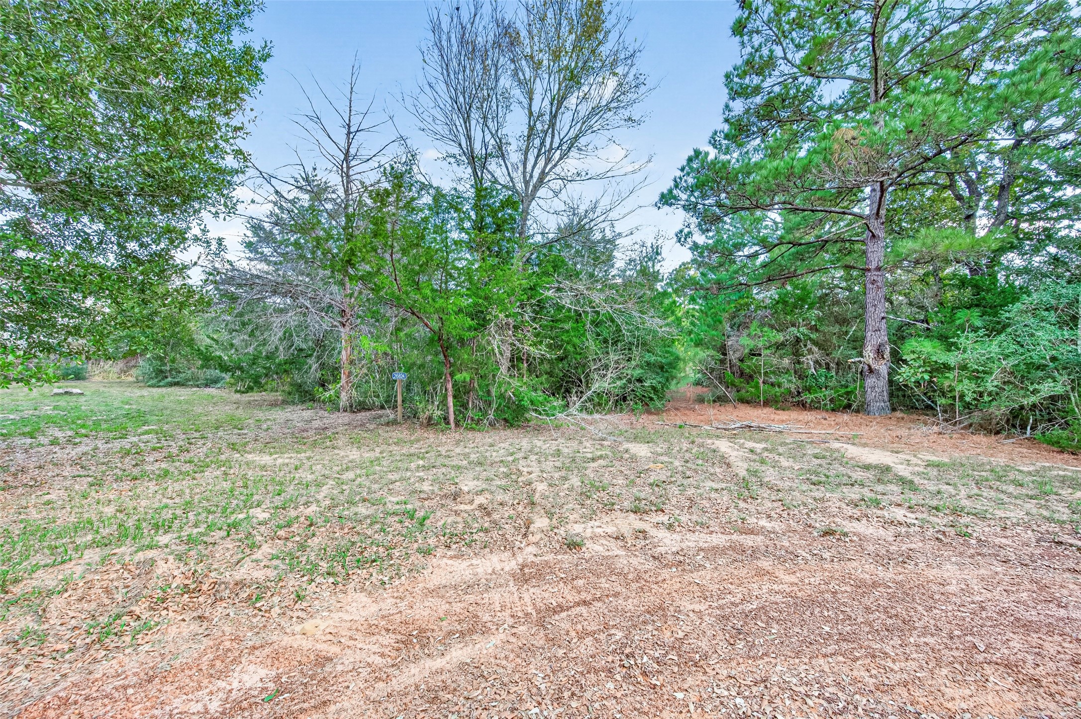 0 Redwood Drive, Hempstead, TX 77445