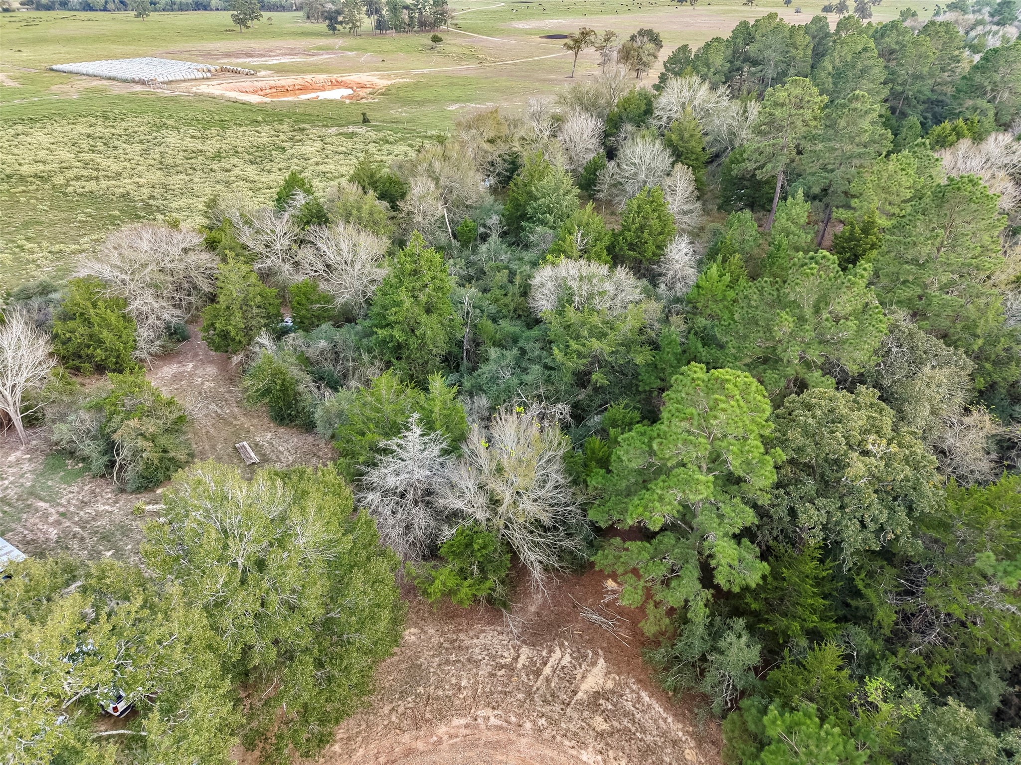 0 Redwood Drive, Hempstead, TX 77445