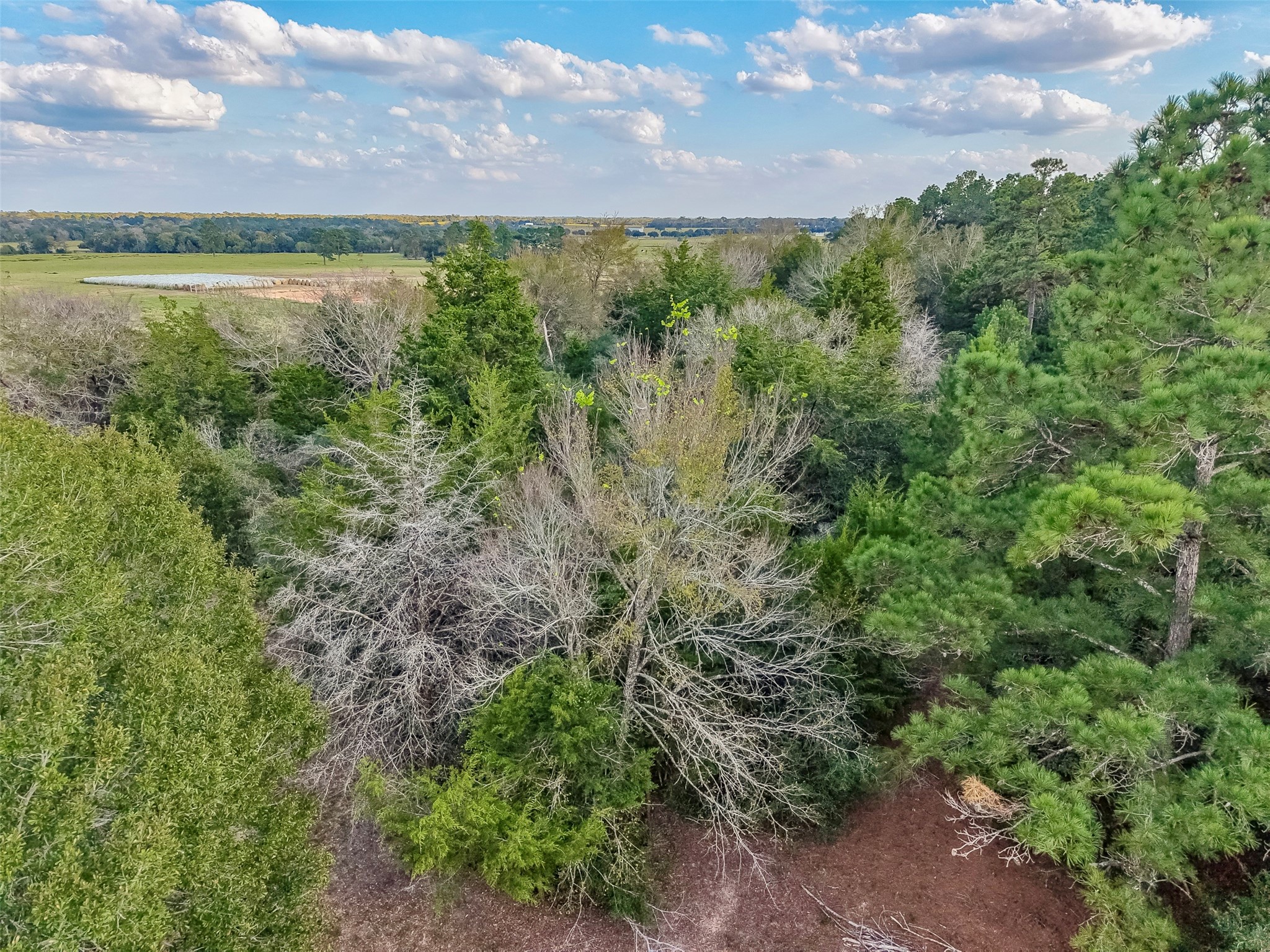 0 Redwood Drive, Hempstead, TX 77445