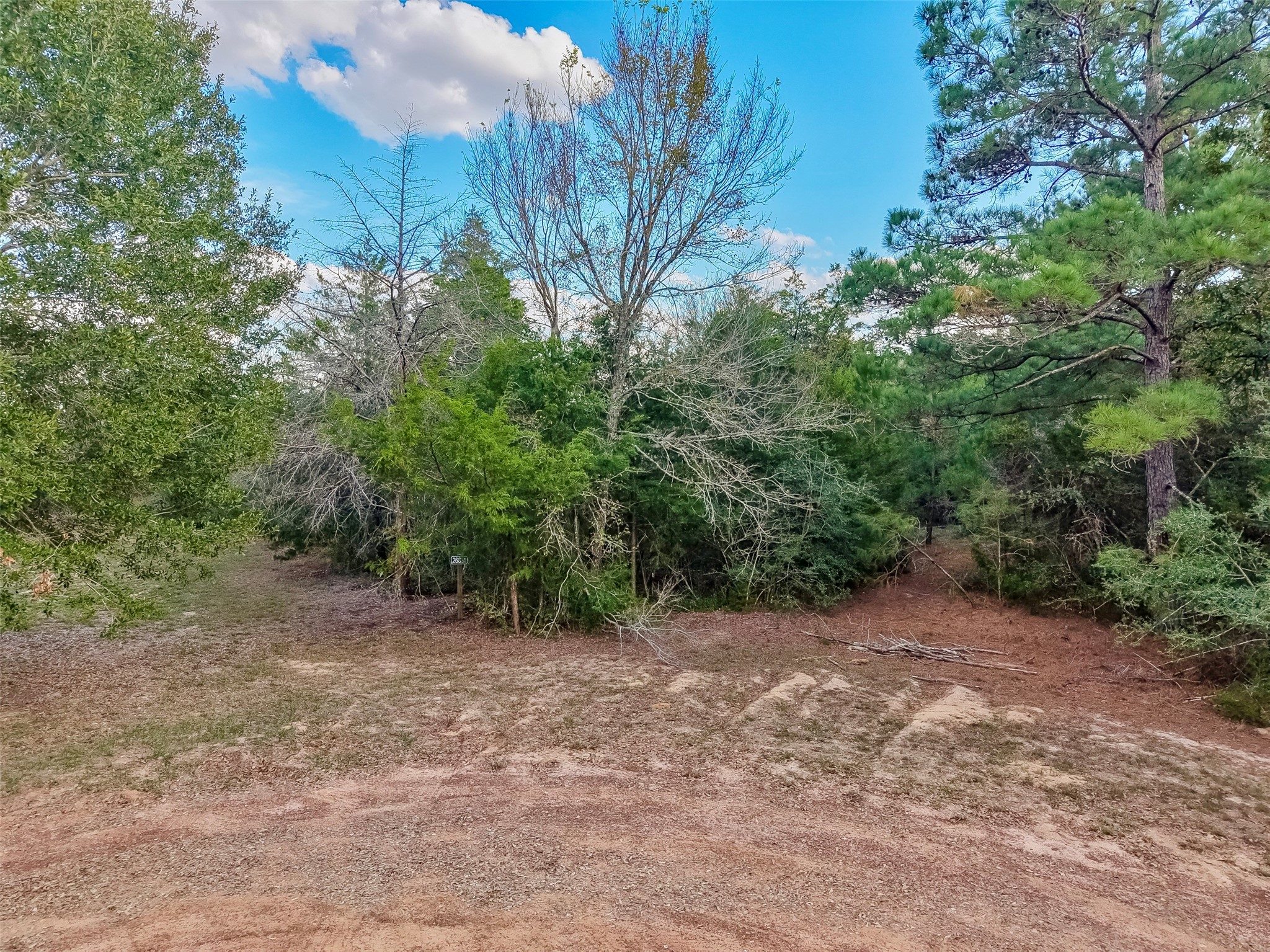 0 Redwood Drive, Hempstead, TX 77445