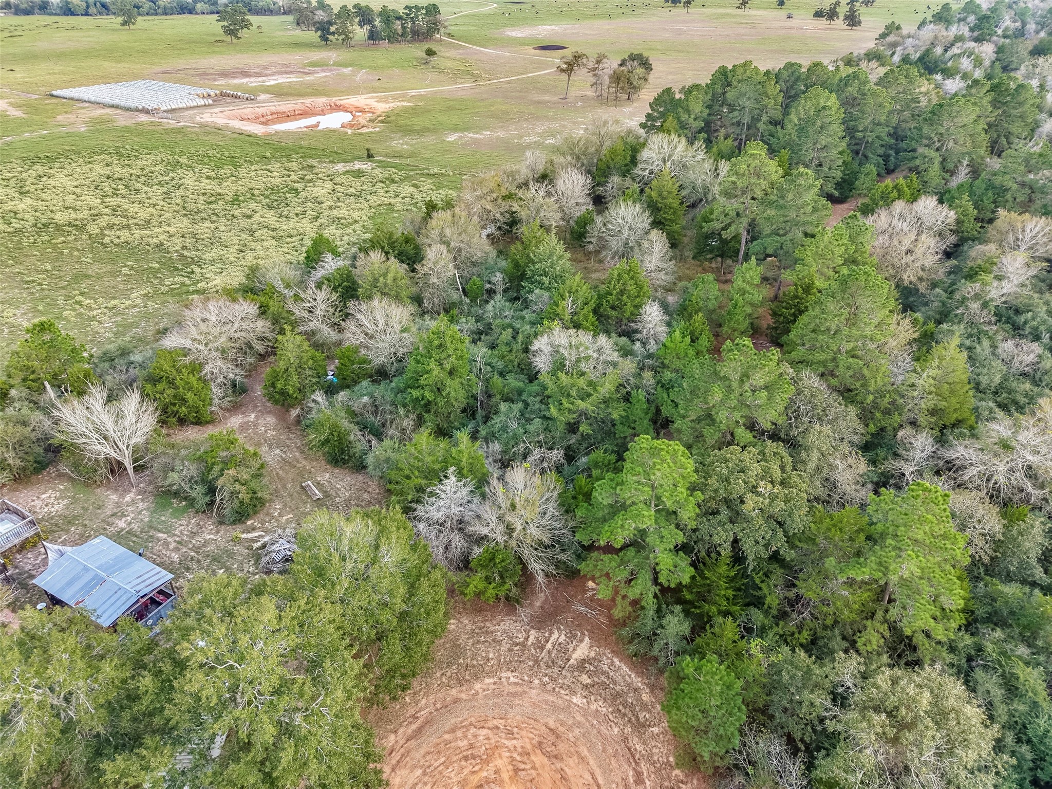 0 Redwood Drive, Hempstead, TX 77445