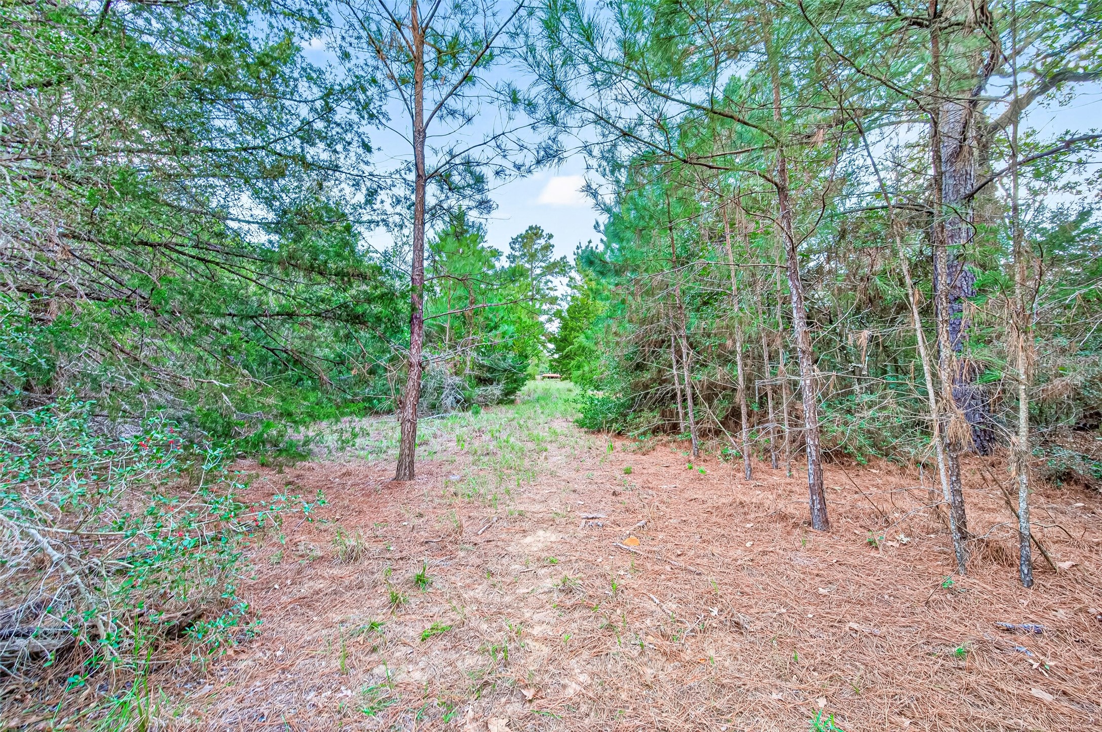 0 Redwood Drive, Hempstead, TX 77445