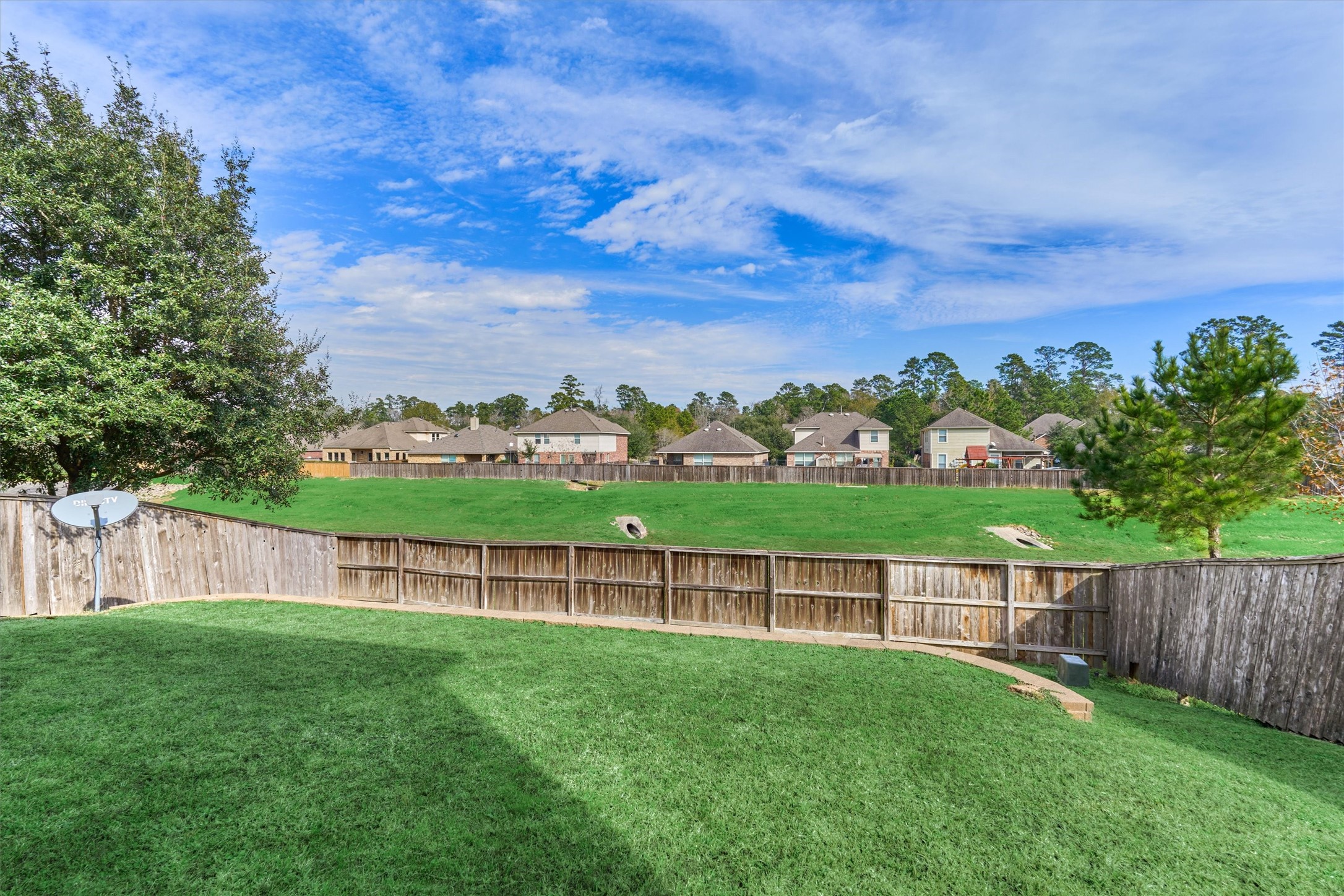 26 Black Swan Court, The Woodlands, TX 77354