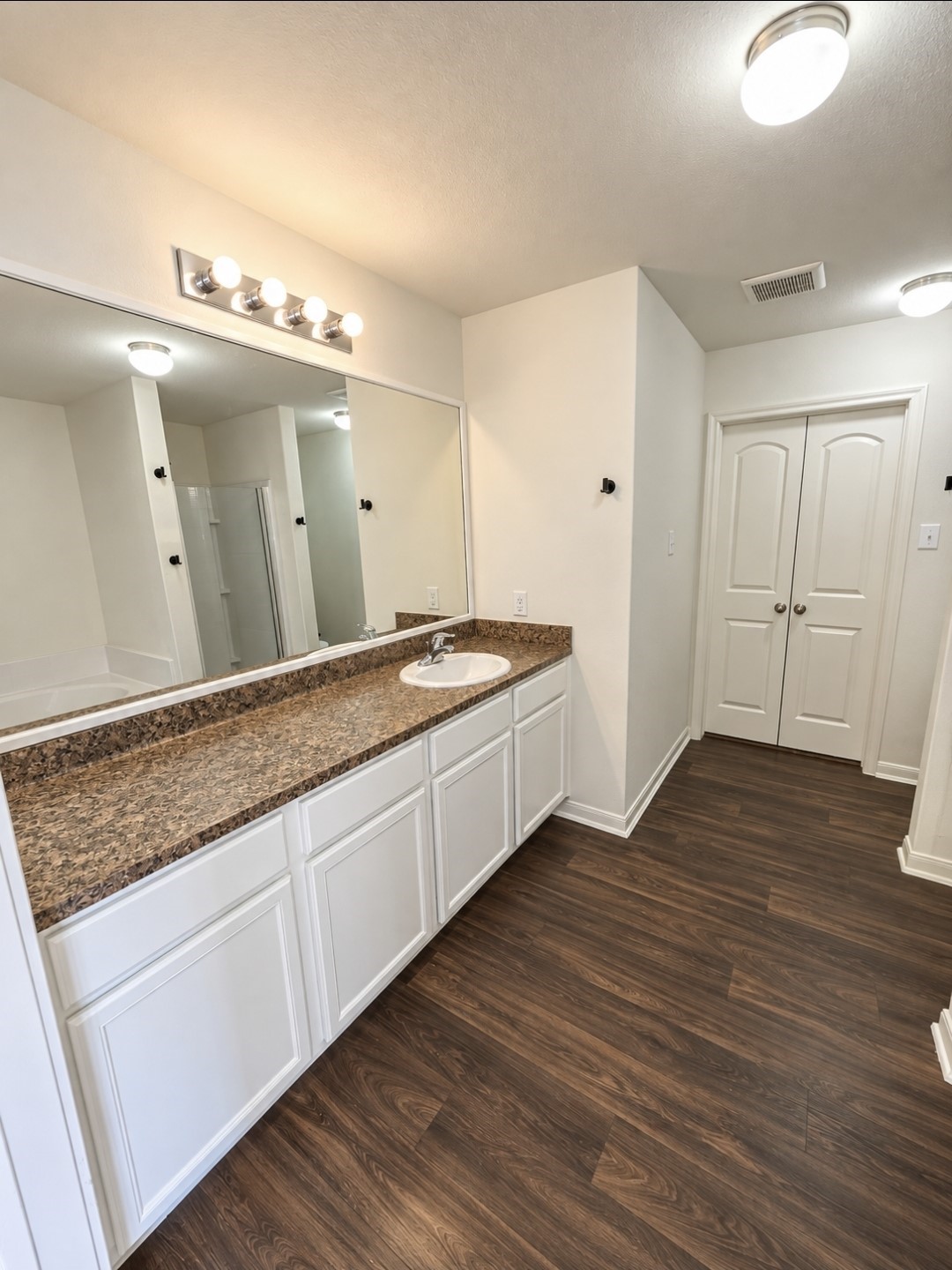 Primary ensuite with large vanity and walk-in closet